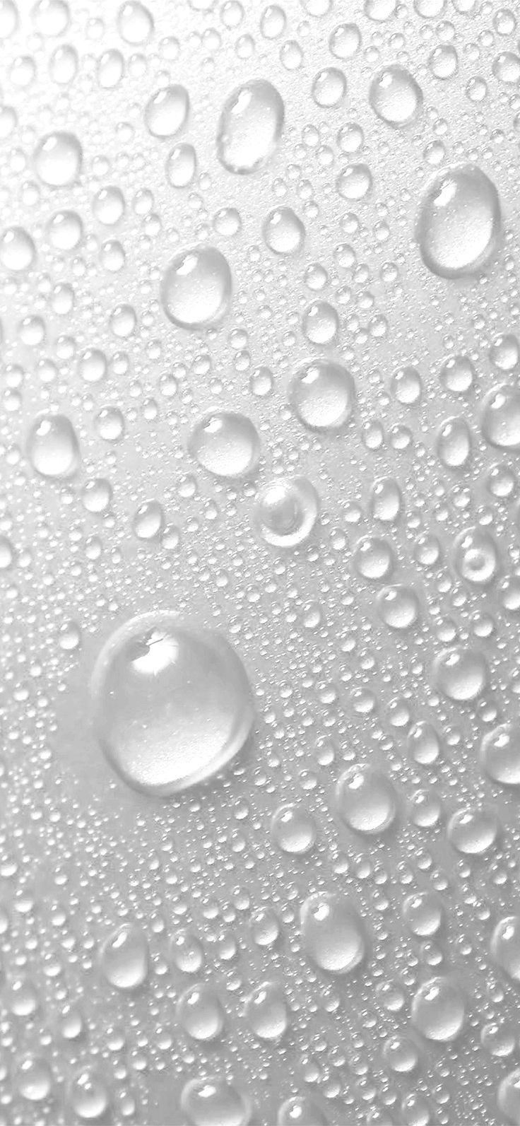 iPhone X White Wallpapers Wallpaper Cave