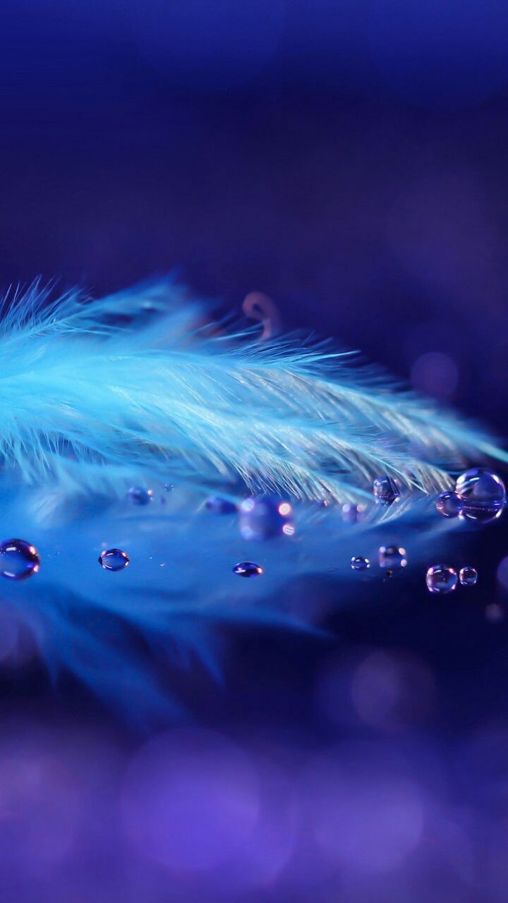 Blue Beauty Wallpapers Wallpaper Cave