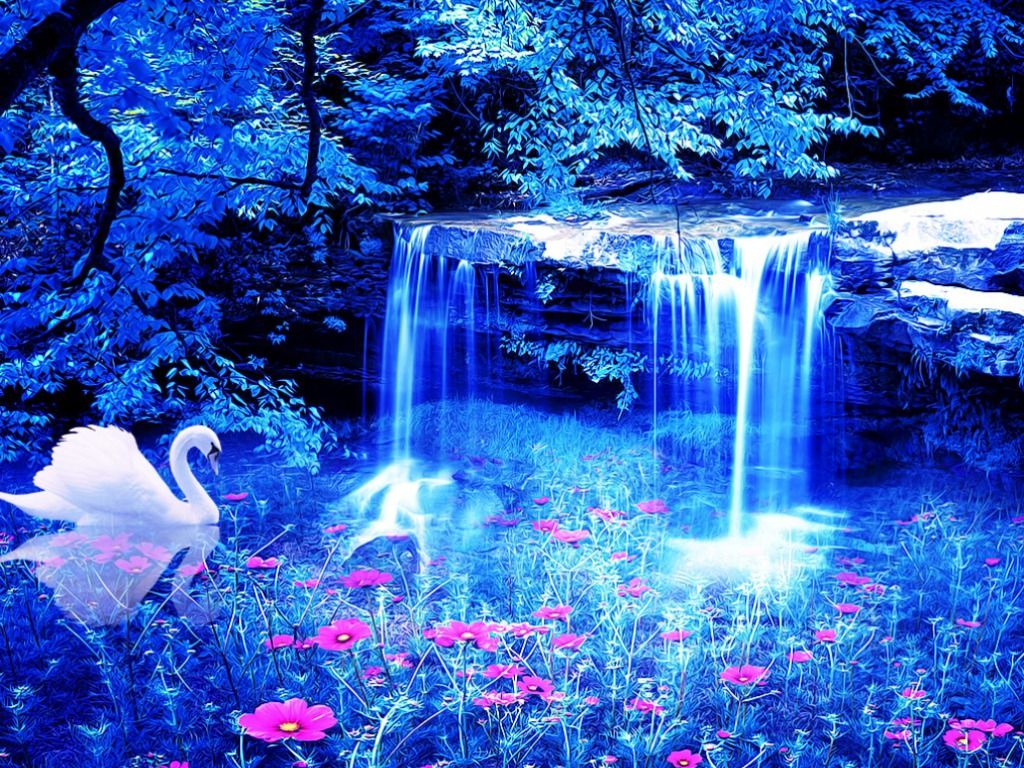 Blue Beauty Wallpapers Wallpaper Cave