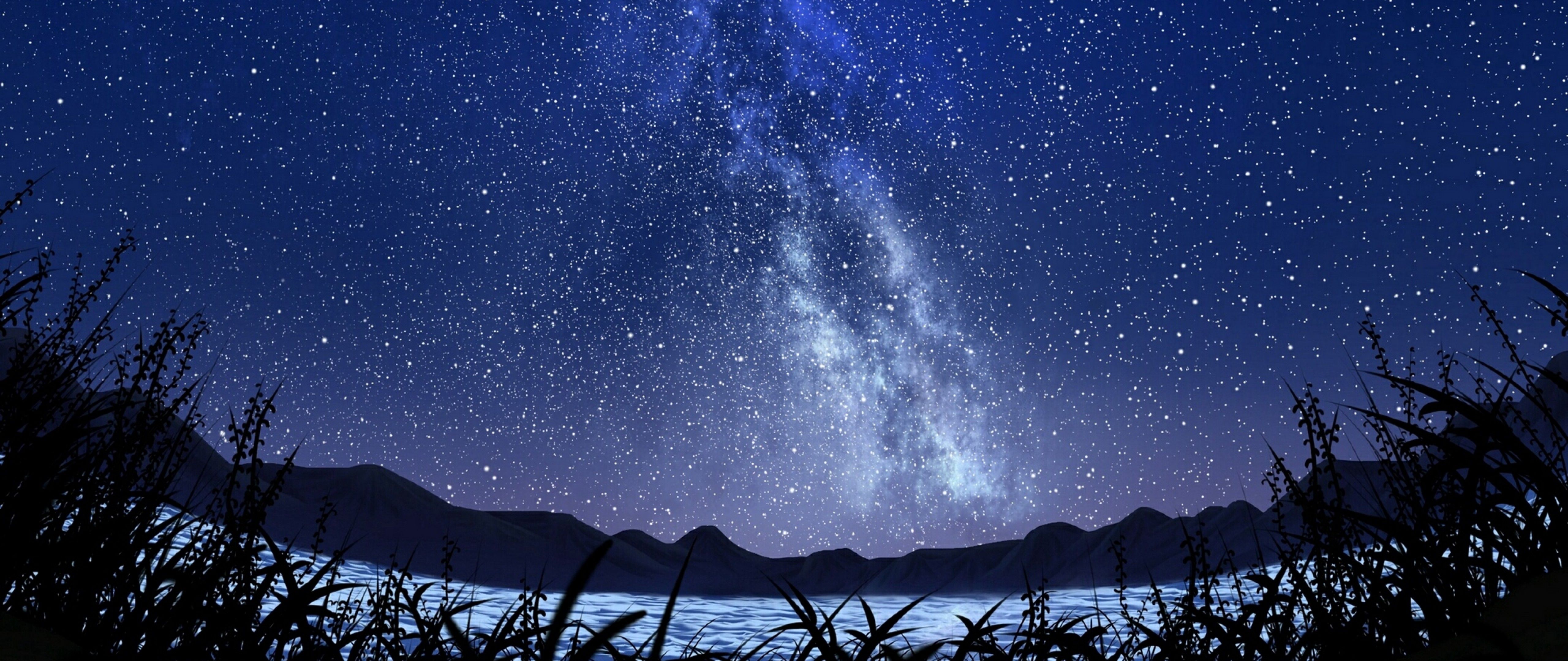 Night In The Summer Wallpapers Wallpaper Cave