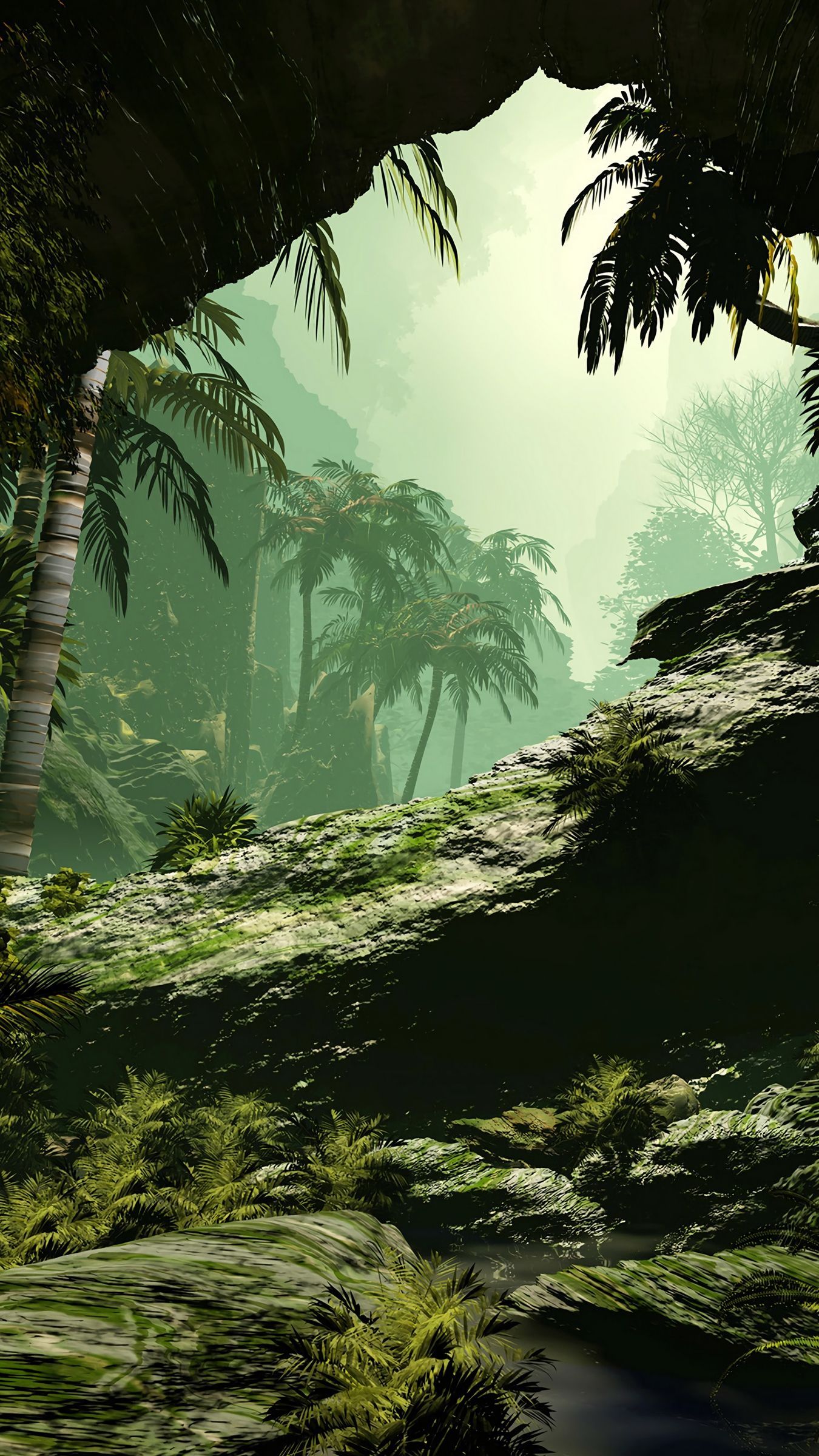 Smartphone Rainforest Wallpapers Wallpaper Cave