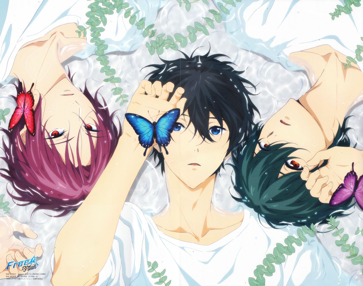 Haruka Nanase Wallpapers Wallpaper Cave