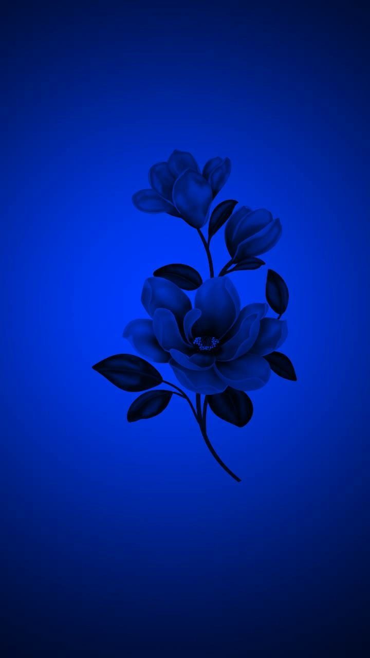 Dark Blue Flower Aesthetic Wallpapers Wallpaper Cave