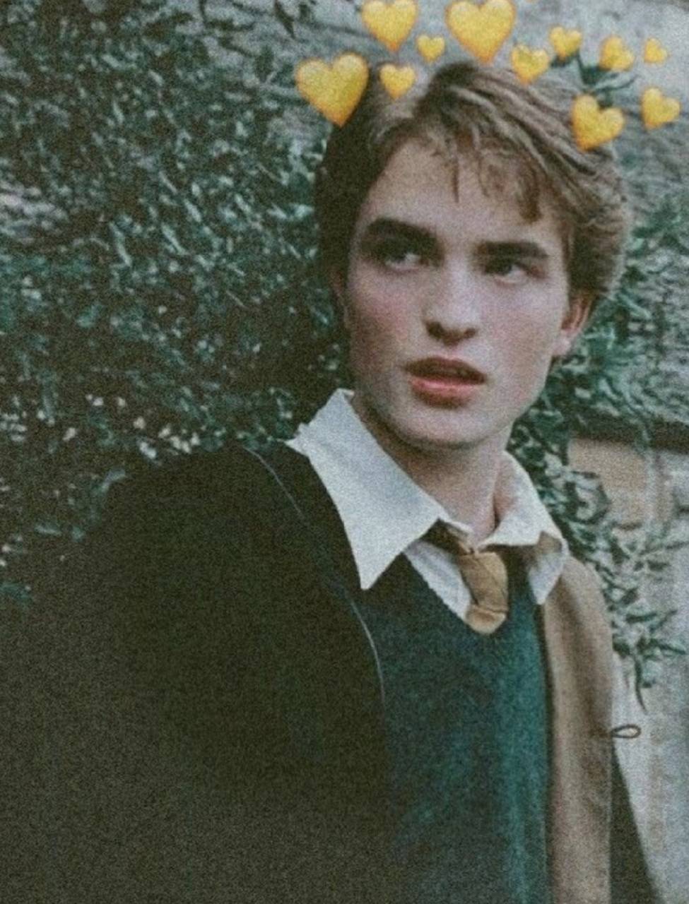 Cedric Diggory Wallpapers Wallpaper Cave