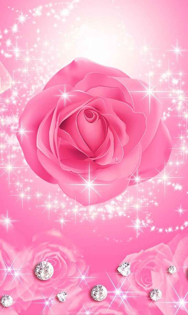 Love Rose Mobile Wallpapers Wallpaper Cave