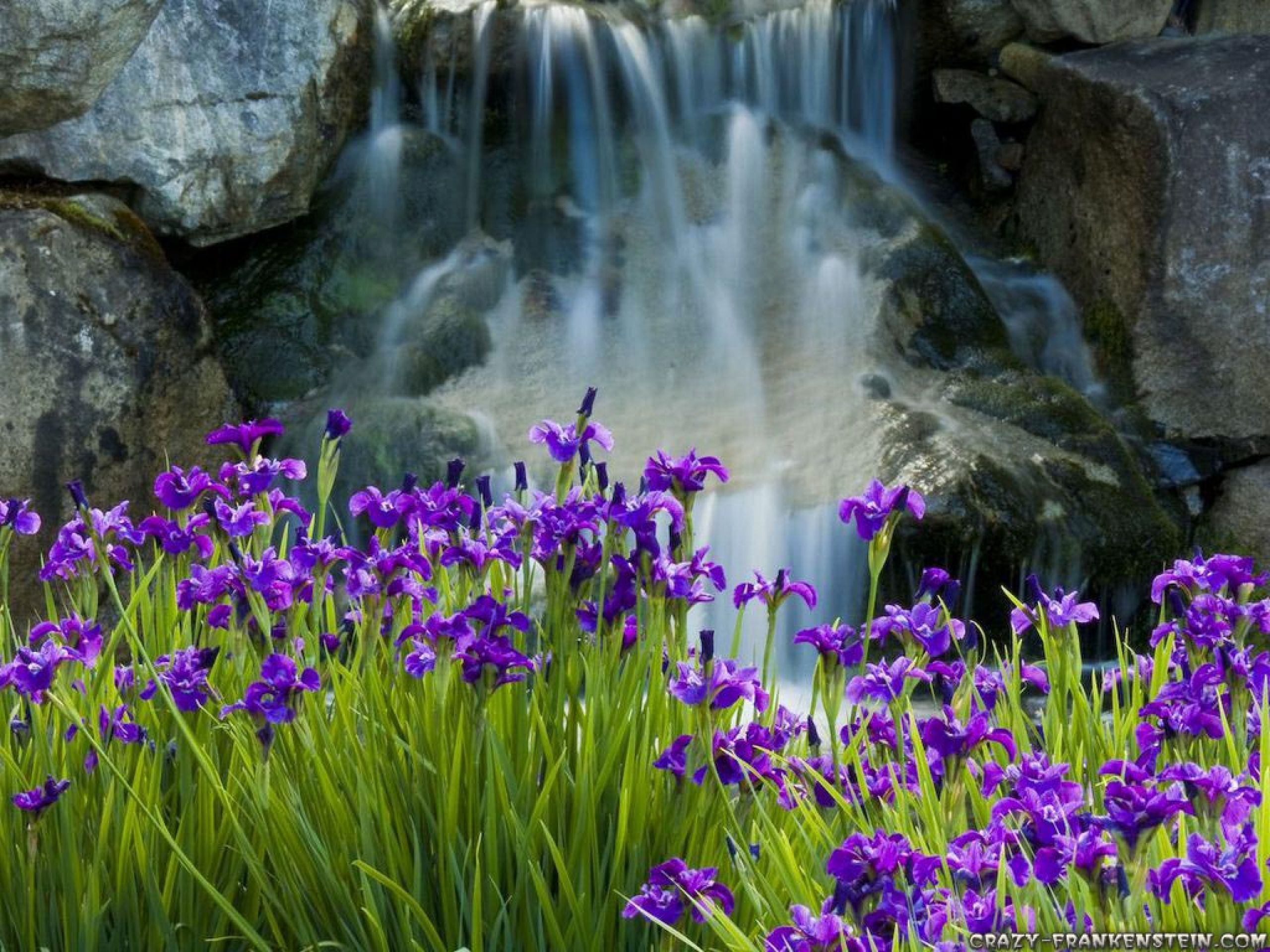 Waterfall Flowers Wallpapers Wallpaper Cave