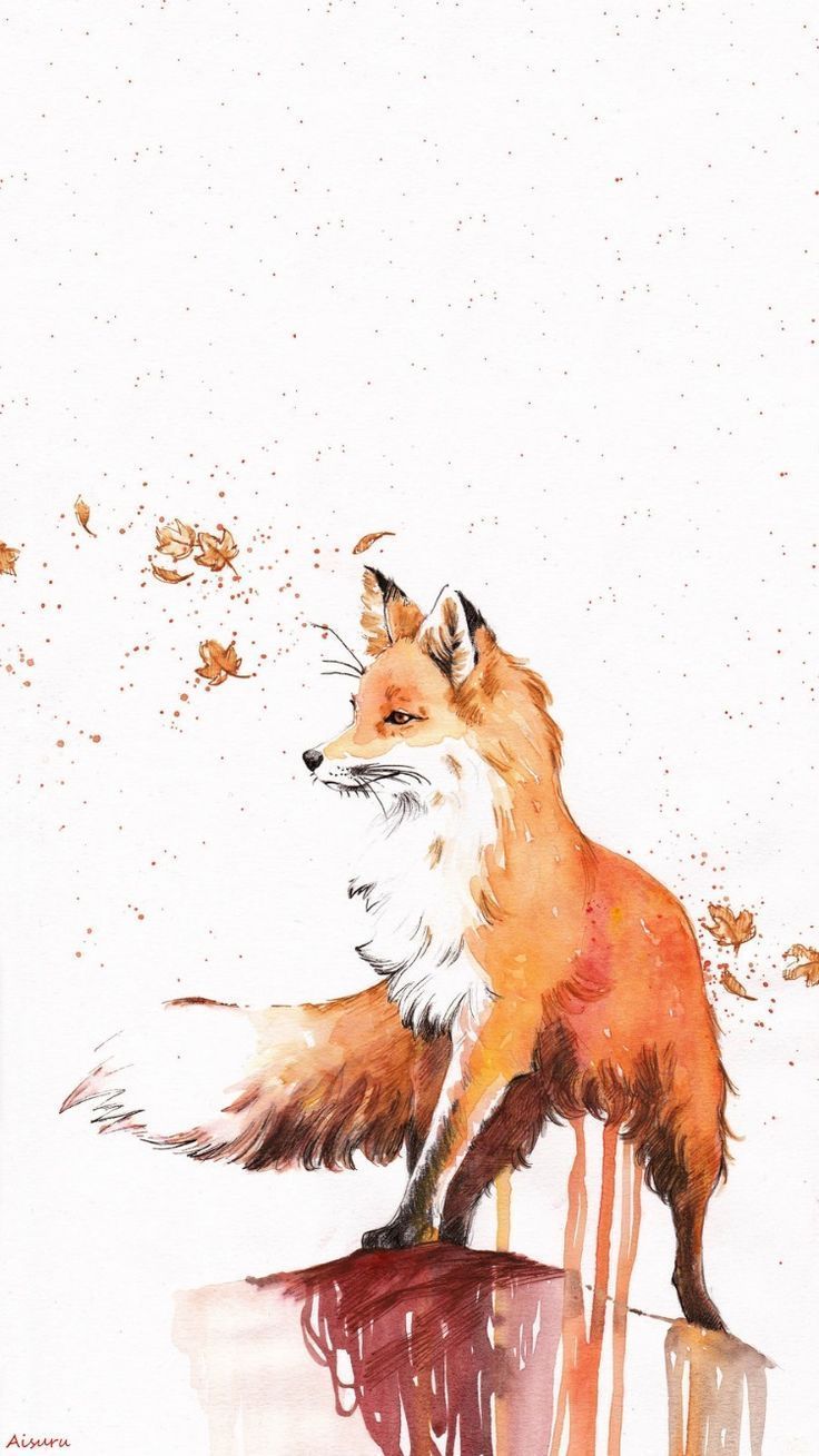 Cute Fox Phone Wallpapers Wallpaper Cave
