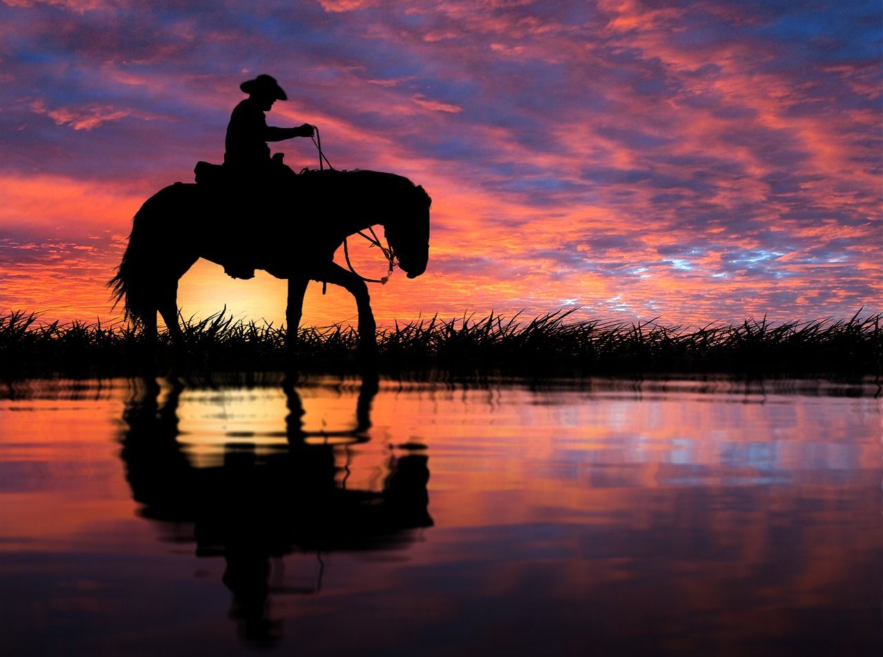 Horse Sunset Sea Light Reflections Wallpapers Wallpaper Cave