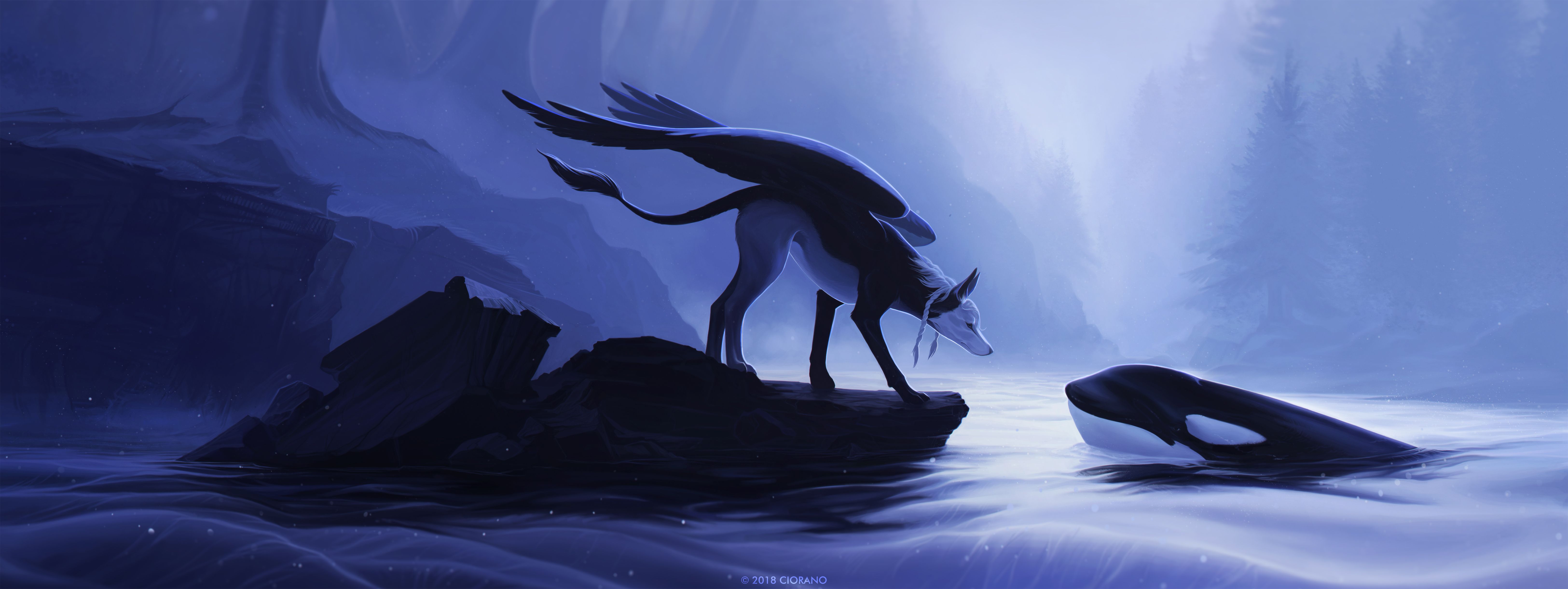 Animal Art Wallpapers Wallpaper Cave