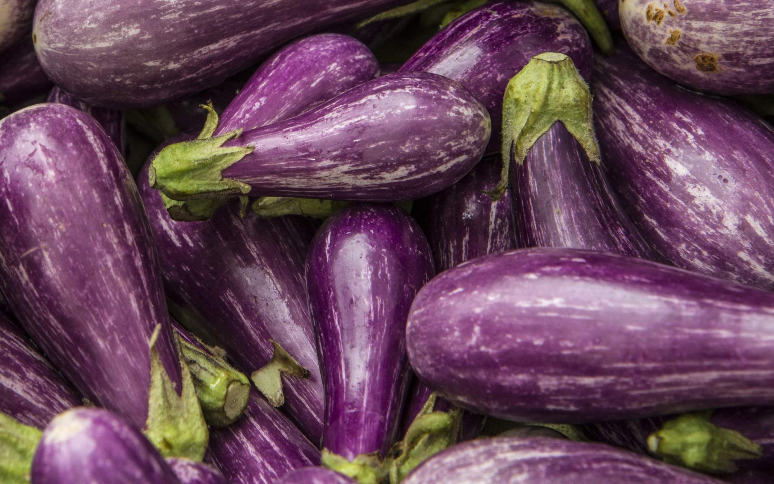 Eggplant Wallpapers Wallpaper Cave