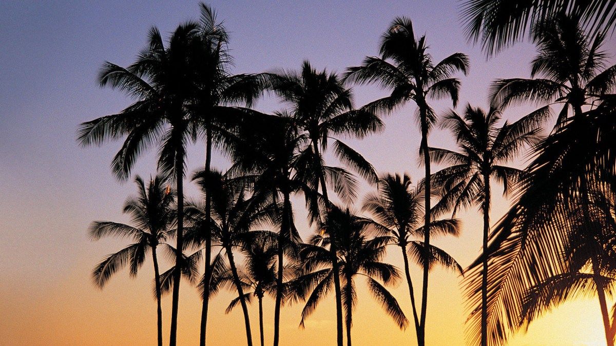 Laptop Summer Aesthetic Wallpapers Wallpaper Cave