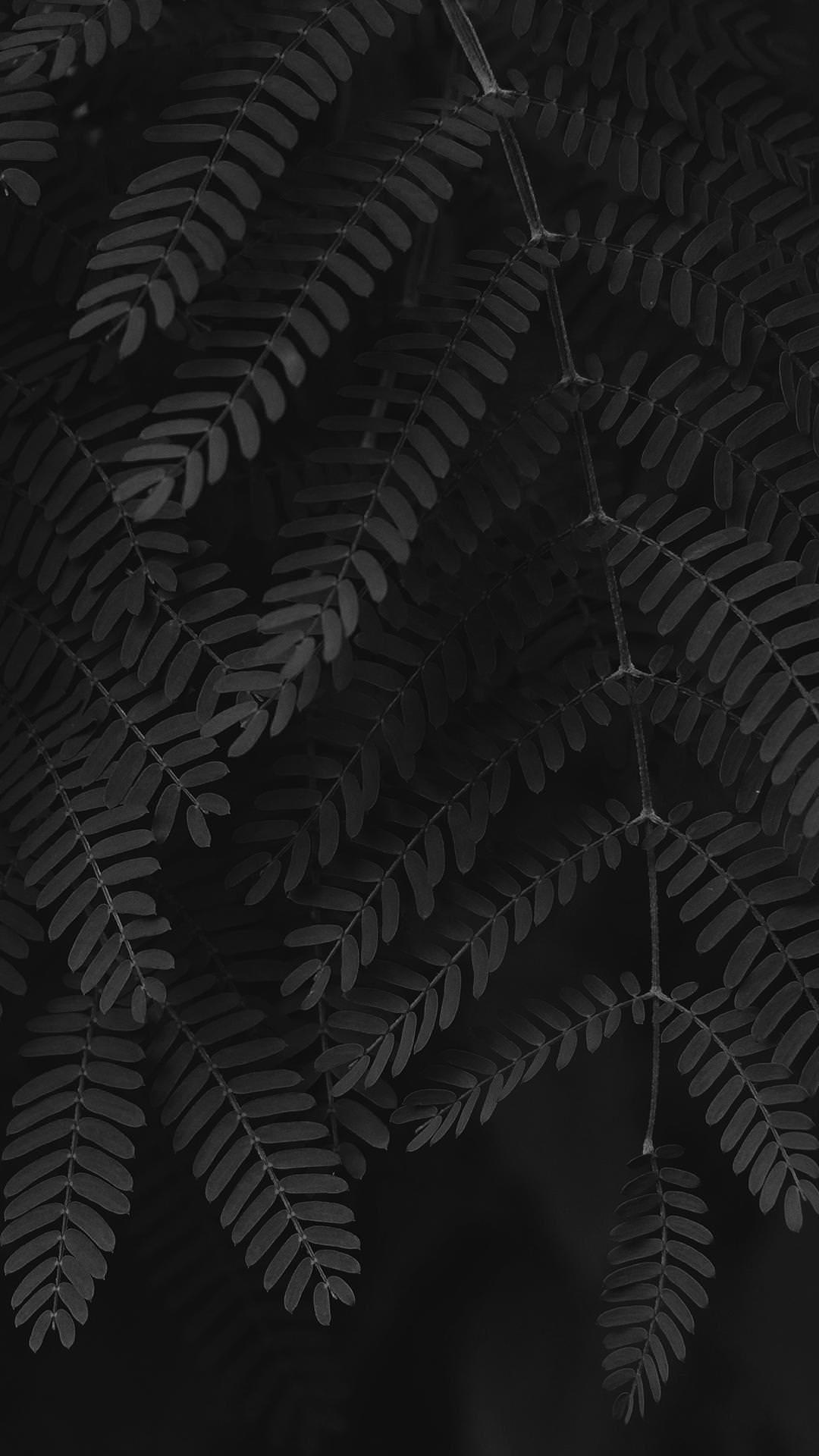Black HD Android Leaf Wallpapers Wallpaper Cave