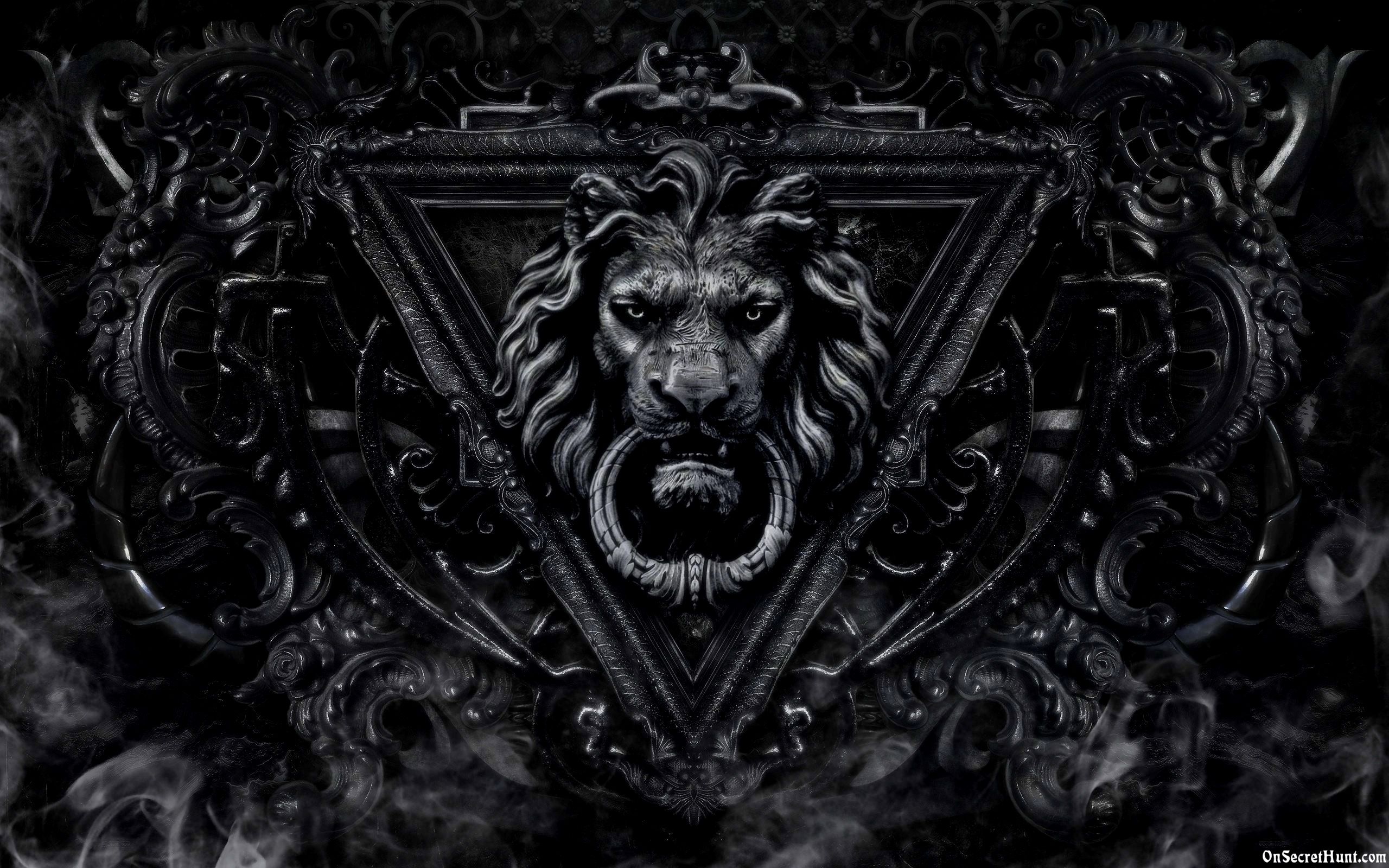 Dark Lion Wallpapers Wallpaper Cave