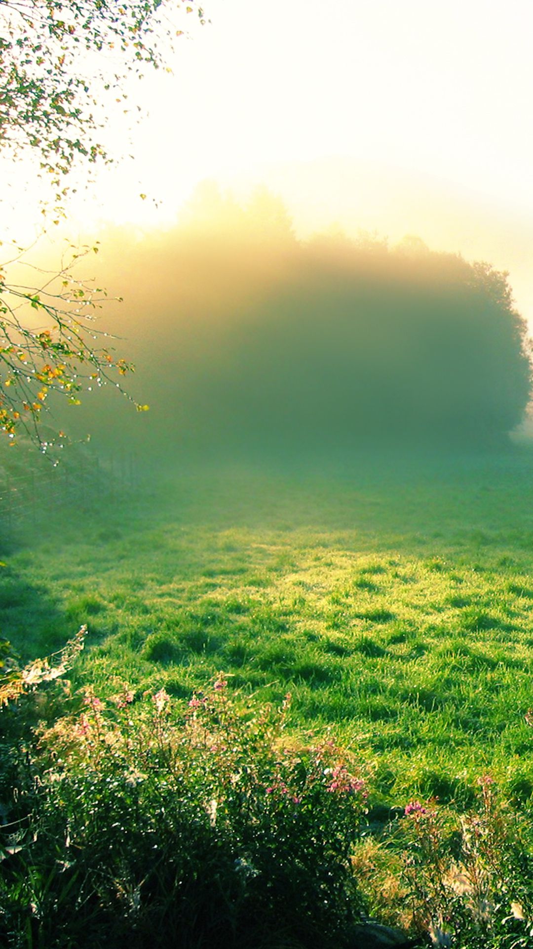 Morning iPhone Wallpapers Wallpaper Cave