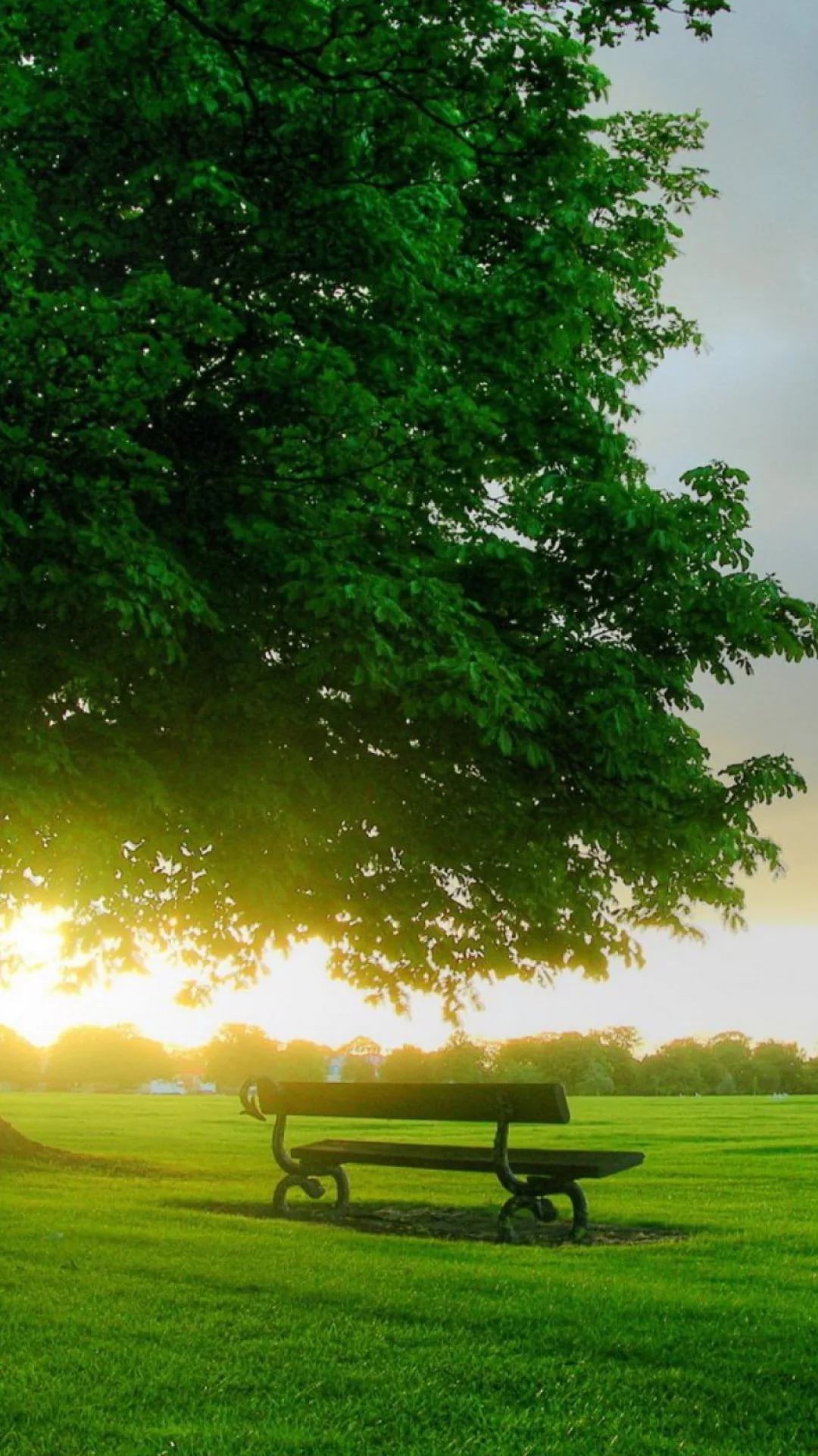 Good Morning iPhone Wallpapers Wallpaper Cave