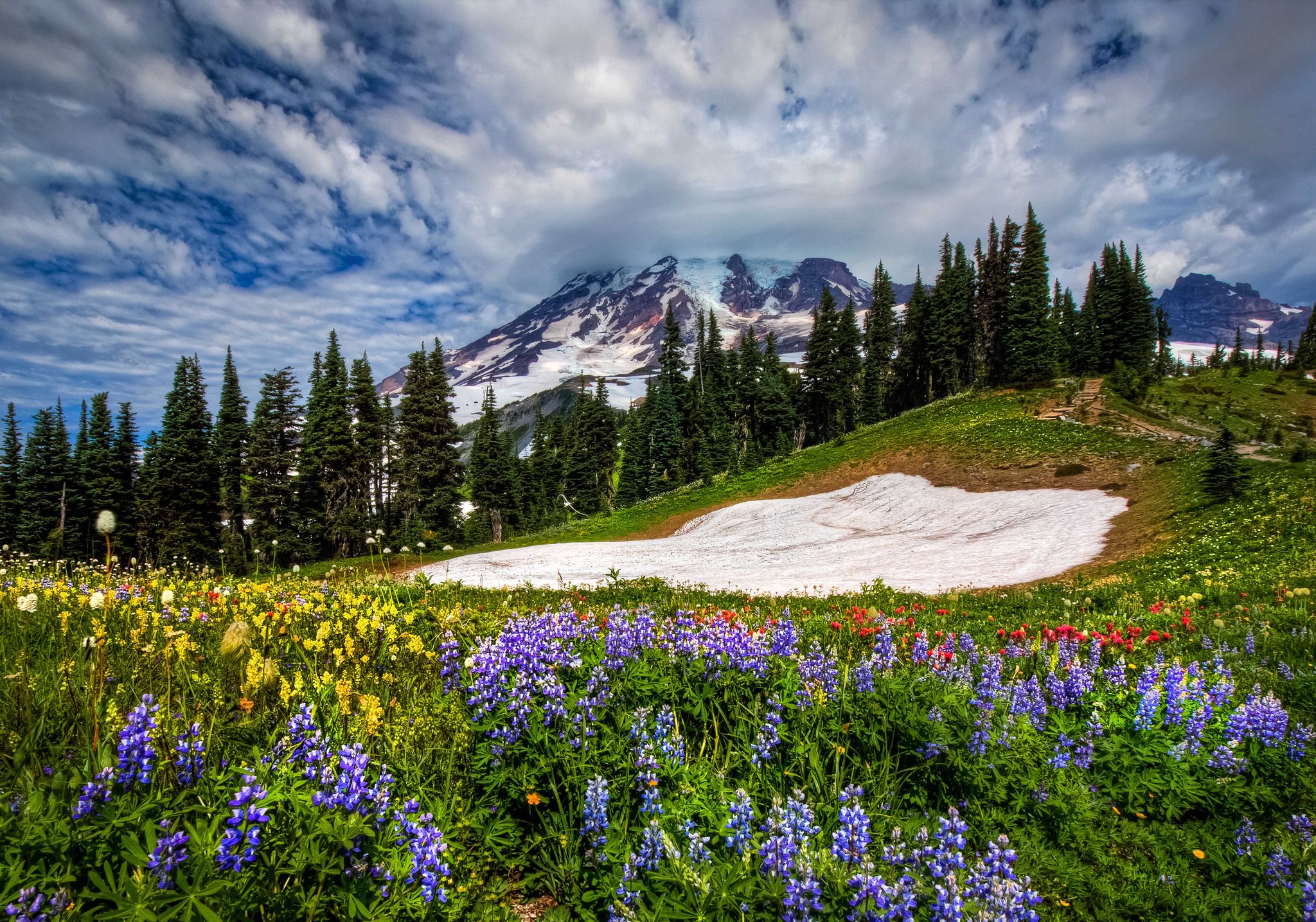 Wildflowers Mountain Valley Wallpapers Wallpaper Cave