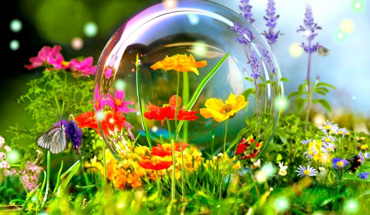 Wallpapers Nature Flowers Wallpaper Cave