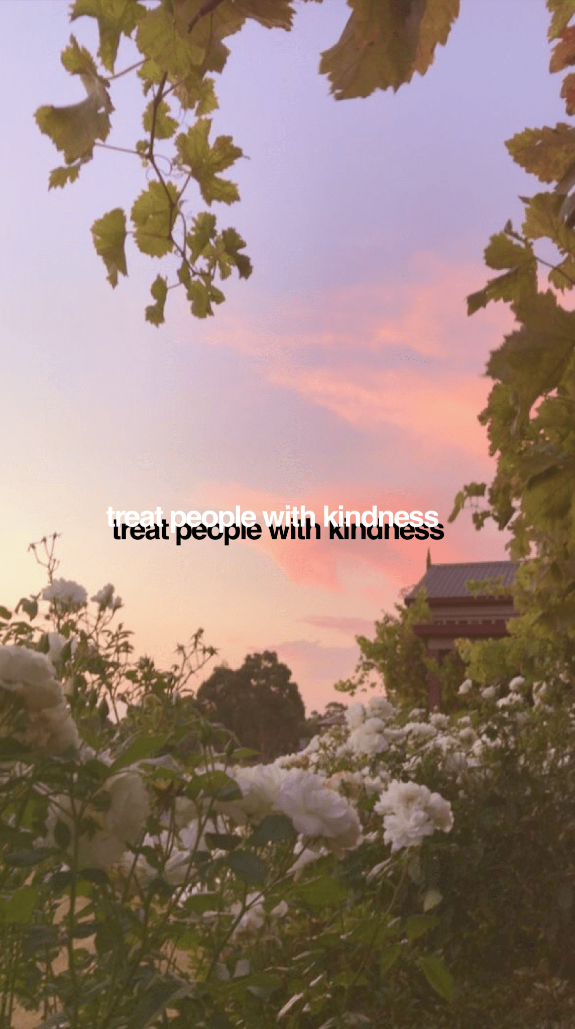 Nature Aesthetic Wallpapers Wallpaper Cave