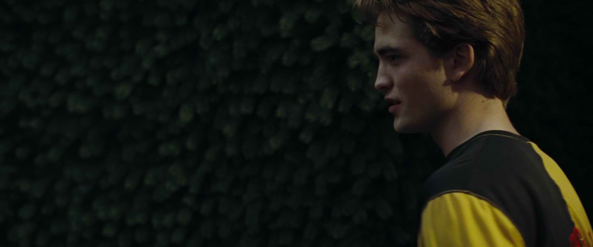 Cedric Diggory Wallpapers Wallpaper Cave
