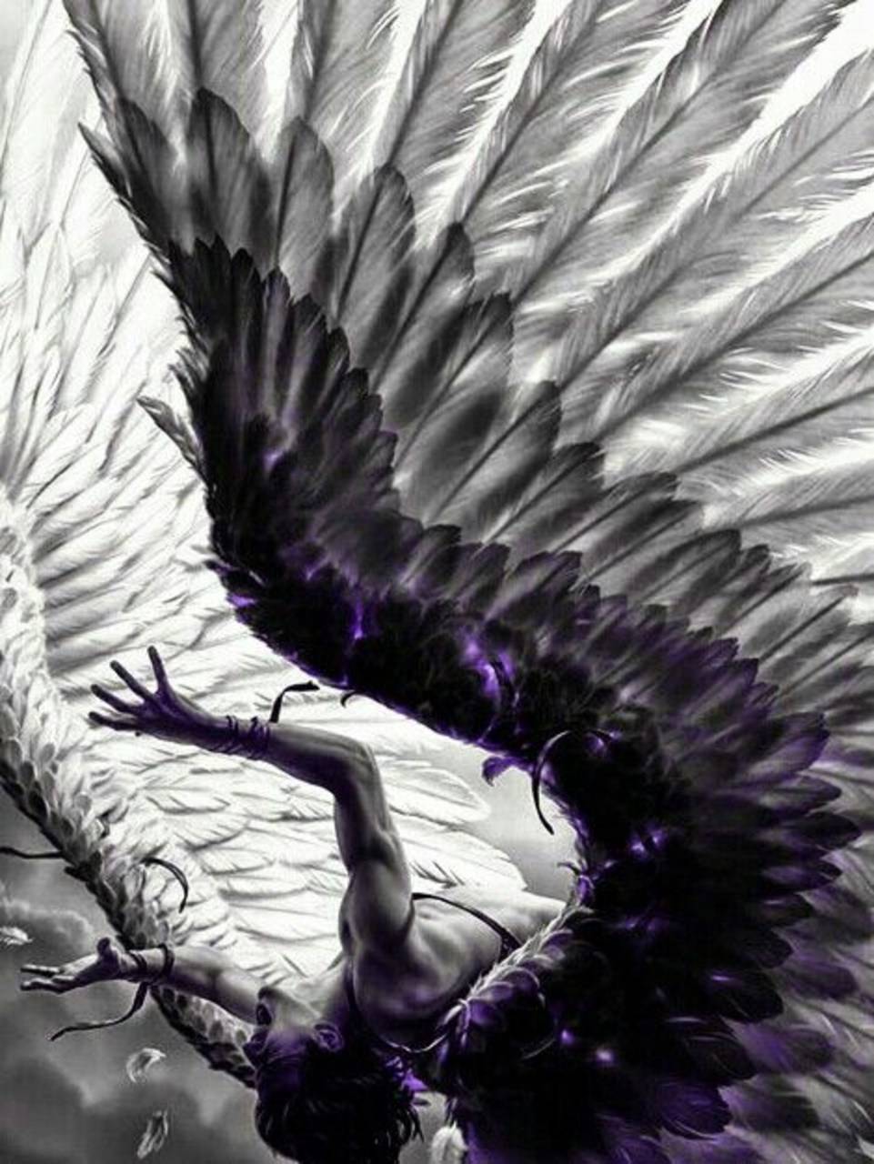 The Fallen Angel Wallpapers Wallpaper Cave