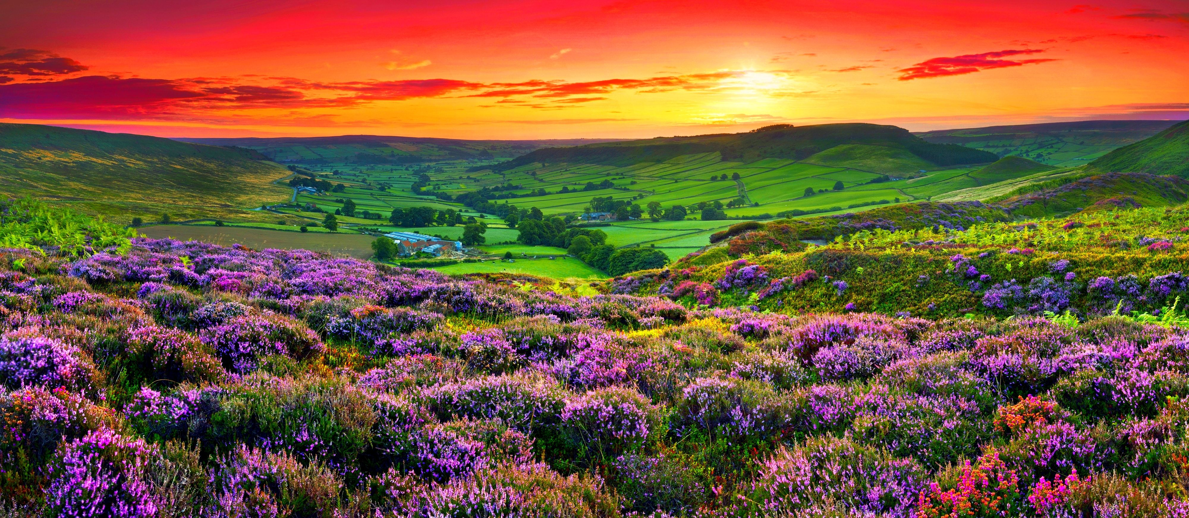 Spring England Wallpapers Wallpaper Cave