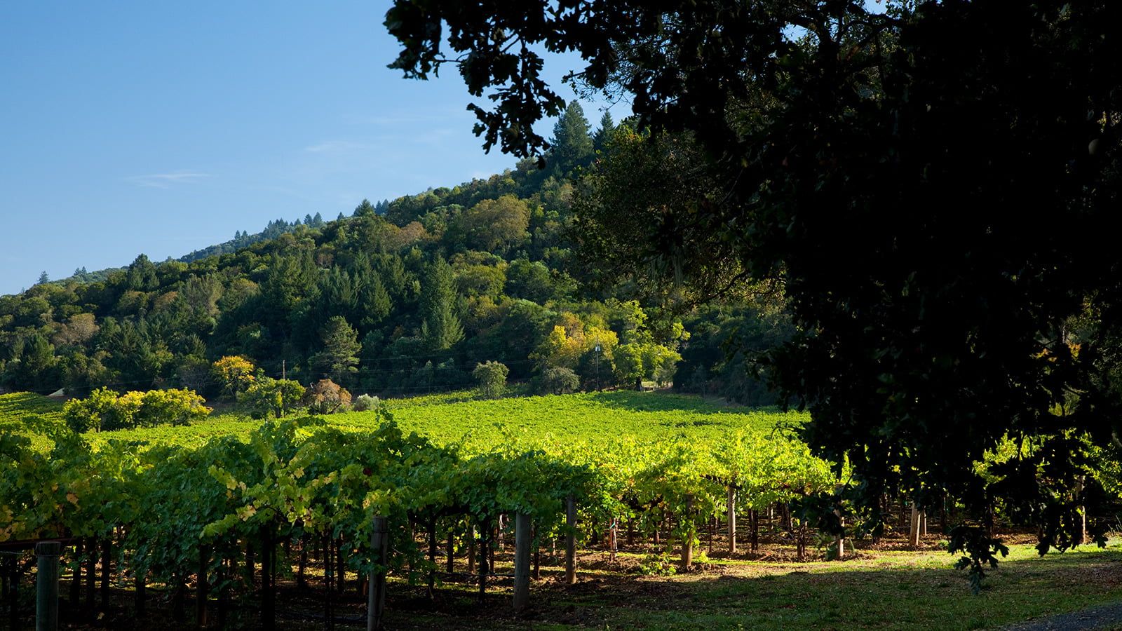 Martha's Vineyard Wallpapers Wallpaper Cave