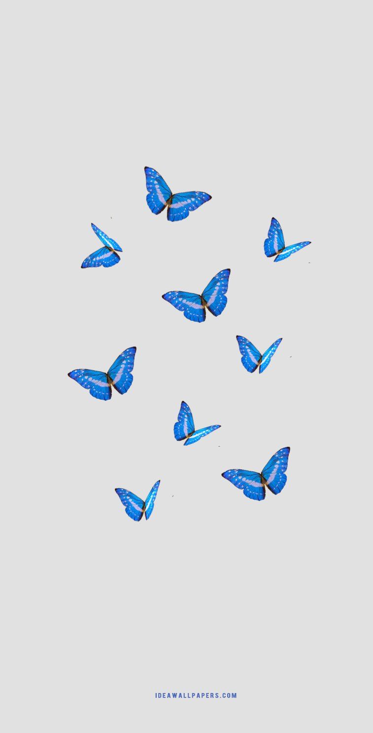 Aesthetic Blue Butterfly Wallpapers Wallpaper Cave DFC