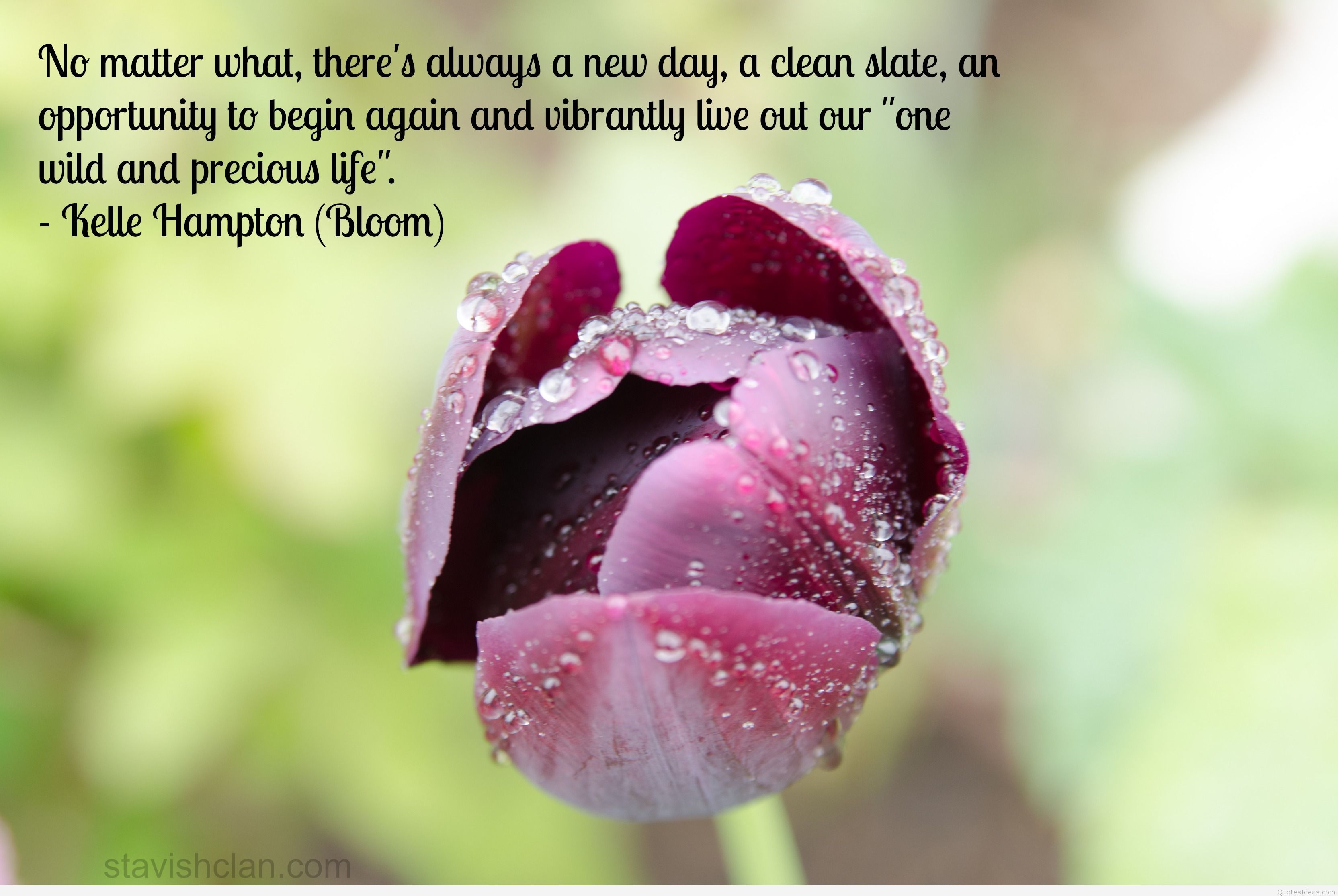 Pregnancy Wallpapers Wallpaper Cave