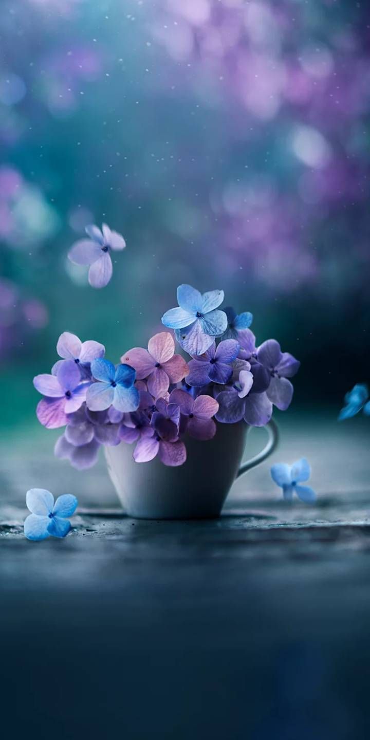 Purple Blue Flower Wallpapers Wallpaper Cave