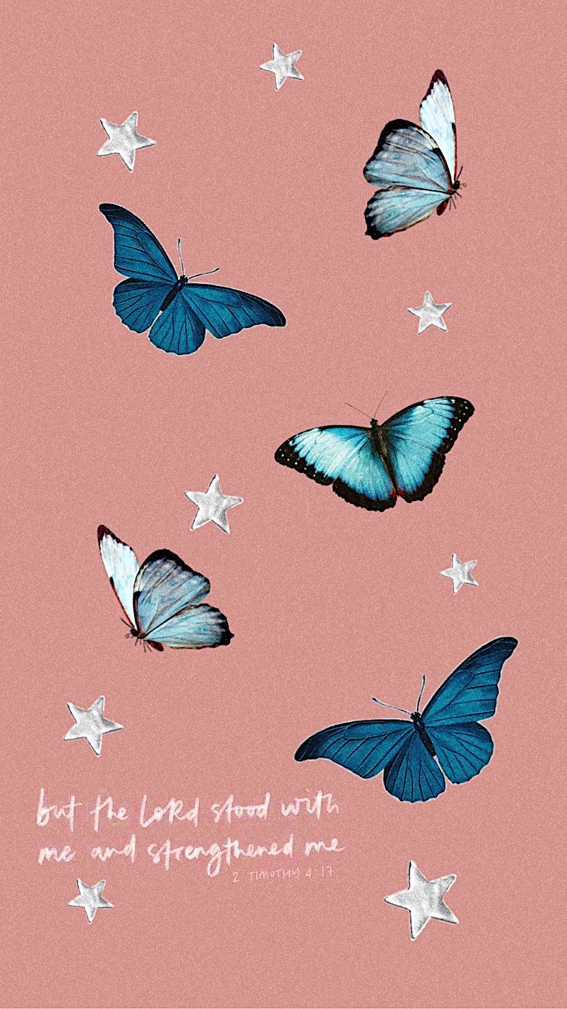 Butterfly VSCO Wallpapers Wallpaper Cave