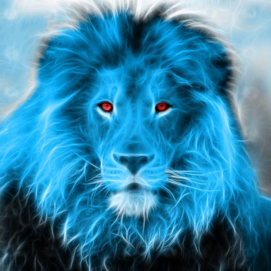 Blue Lion Wallpapers Wallpaper Cave