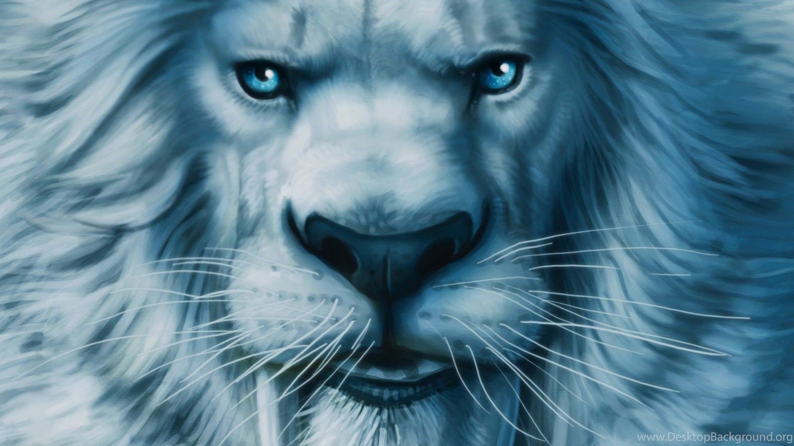 Blue Lion Wallpapers Wallpaper Cave
