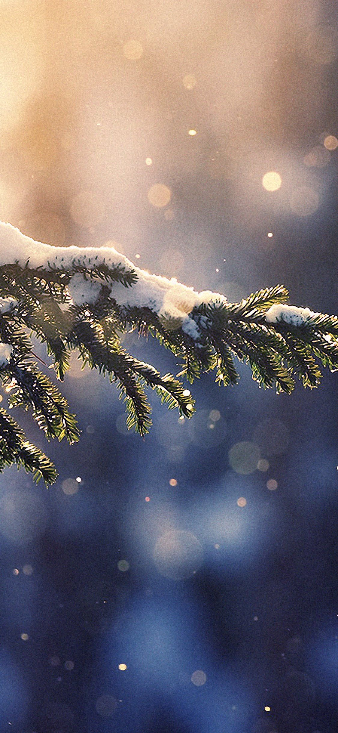 [無料ダウンロード！ √] snow iphone 11 wallpaper 290290Snow iphone 11 wallpaper