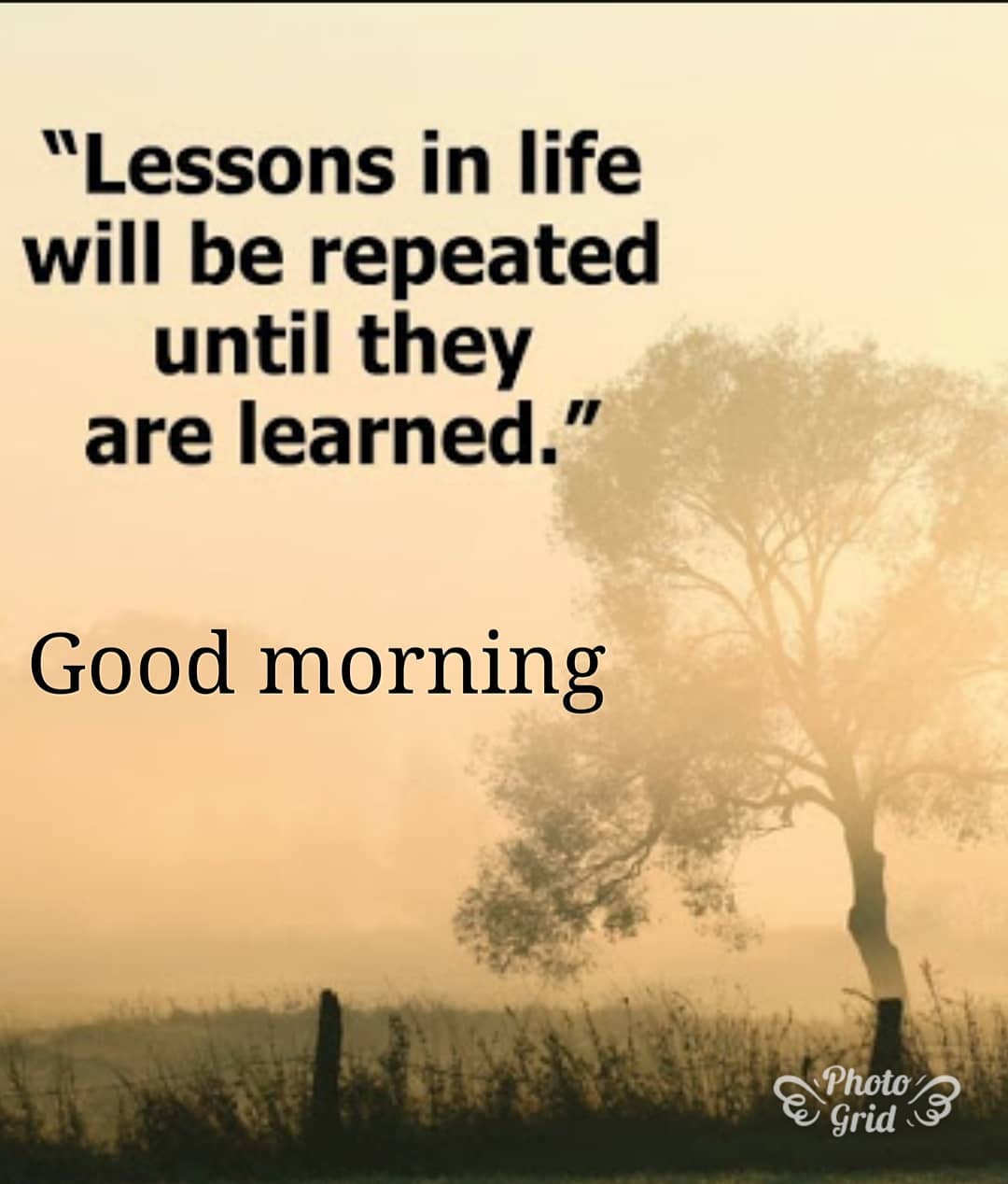 Good Morning Quotes Wallpapers Wallpaper Cave