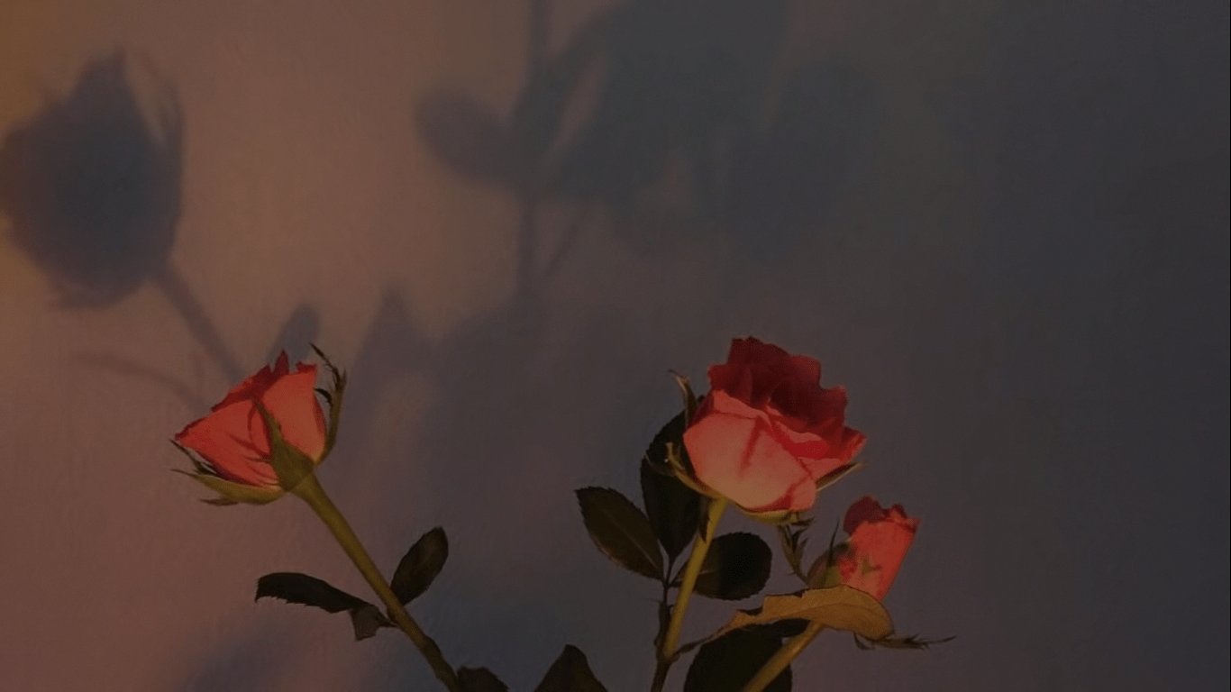 Aesthetic Roses Laptop Wallpapers Wallpaper Cave