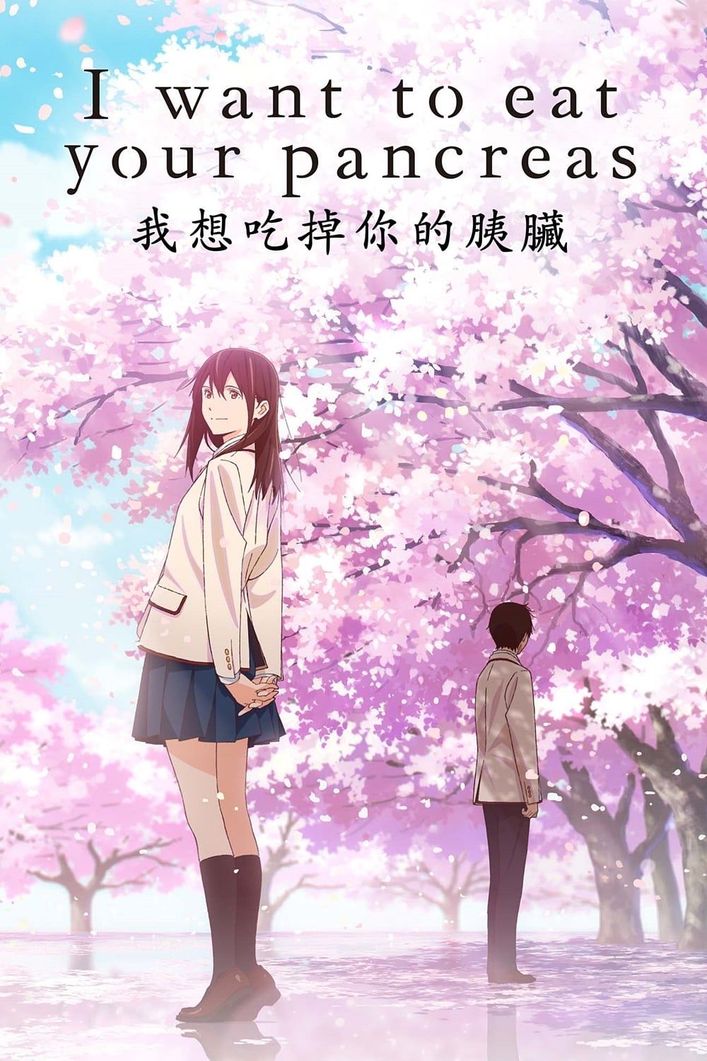 I Want To Eat Your Pancreas Mobile Wallpapers Wallpaper Cave