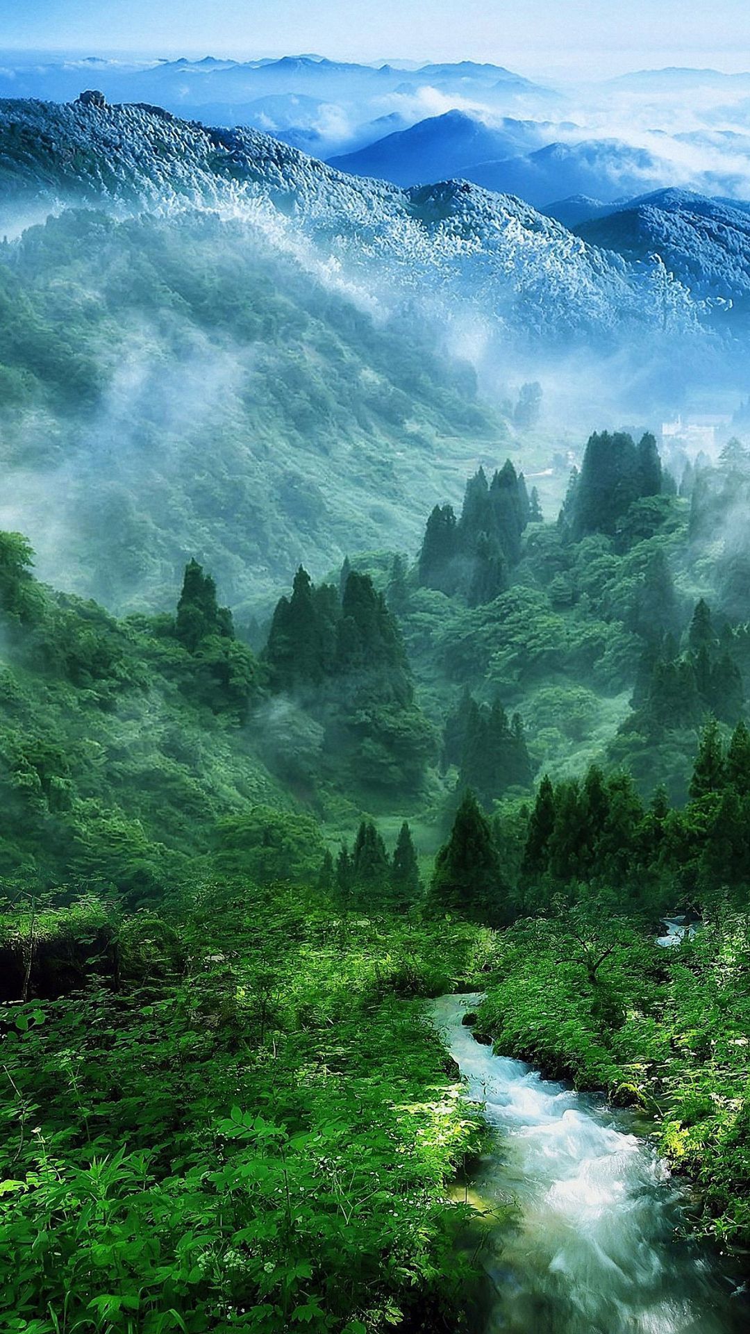 HD Nature Full Screen Mobile Wallpapers Wallpaper Cave