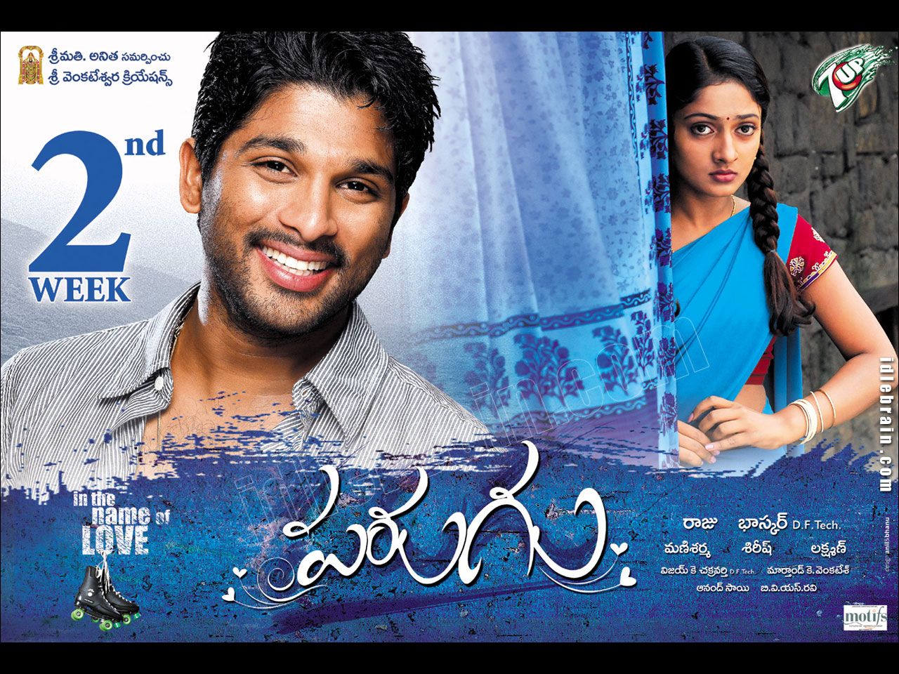 Parugu Wallpapers Wallpaper Cave