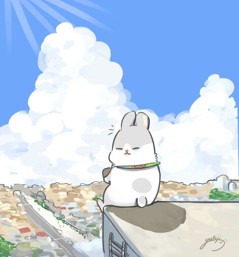 Anime Rabbit Wallpapers Wallpaper Cave