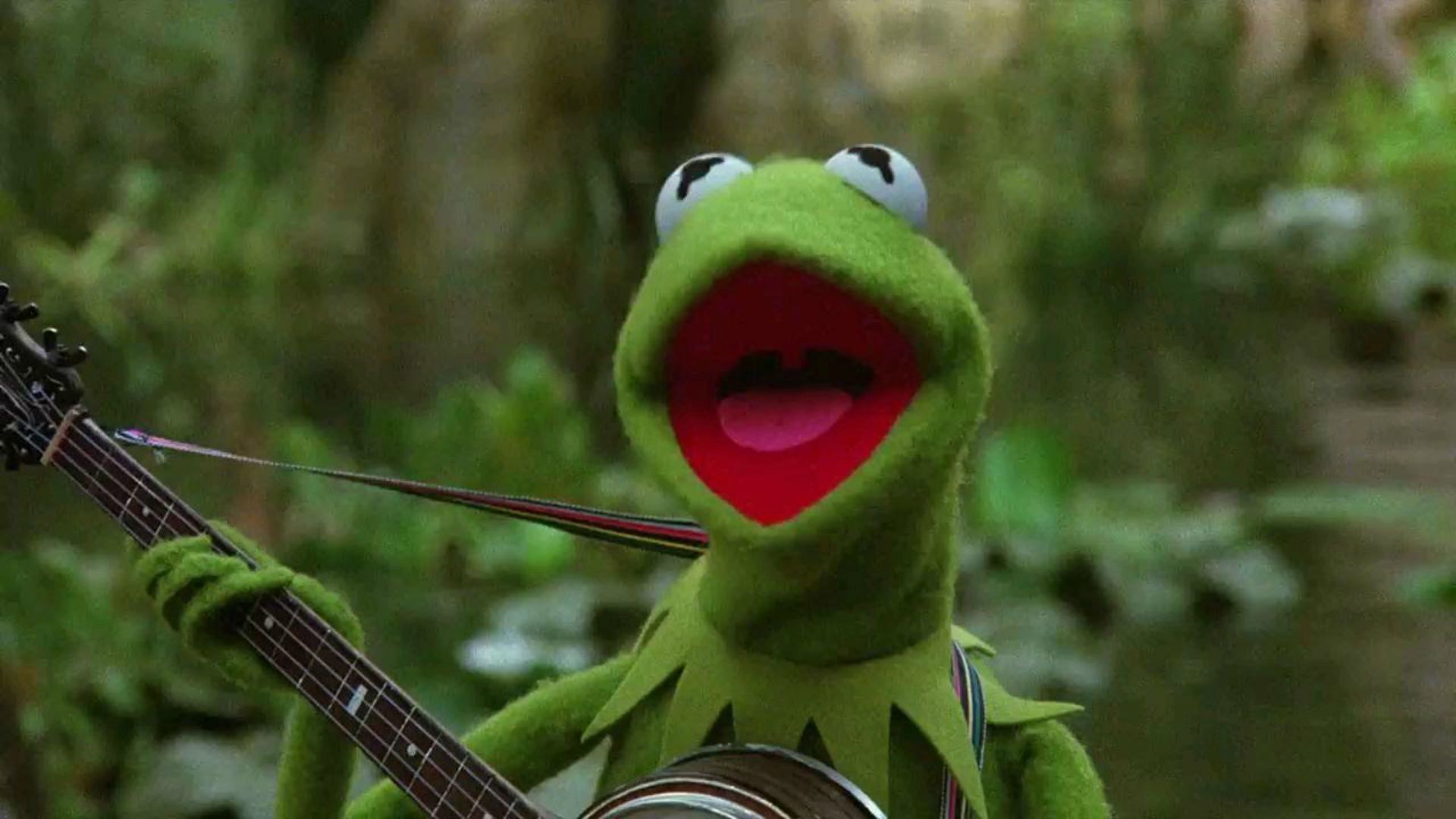 Kermit The Frog Desktop Wallpapers Wallpaper Cave