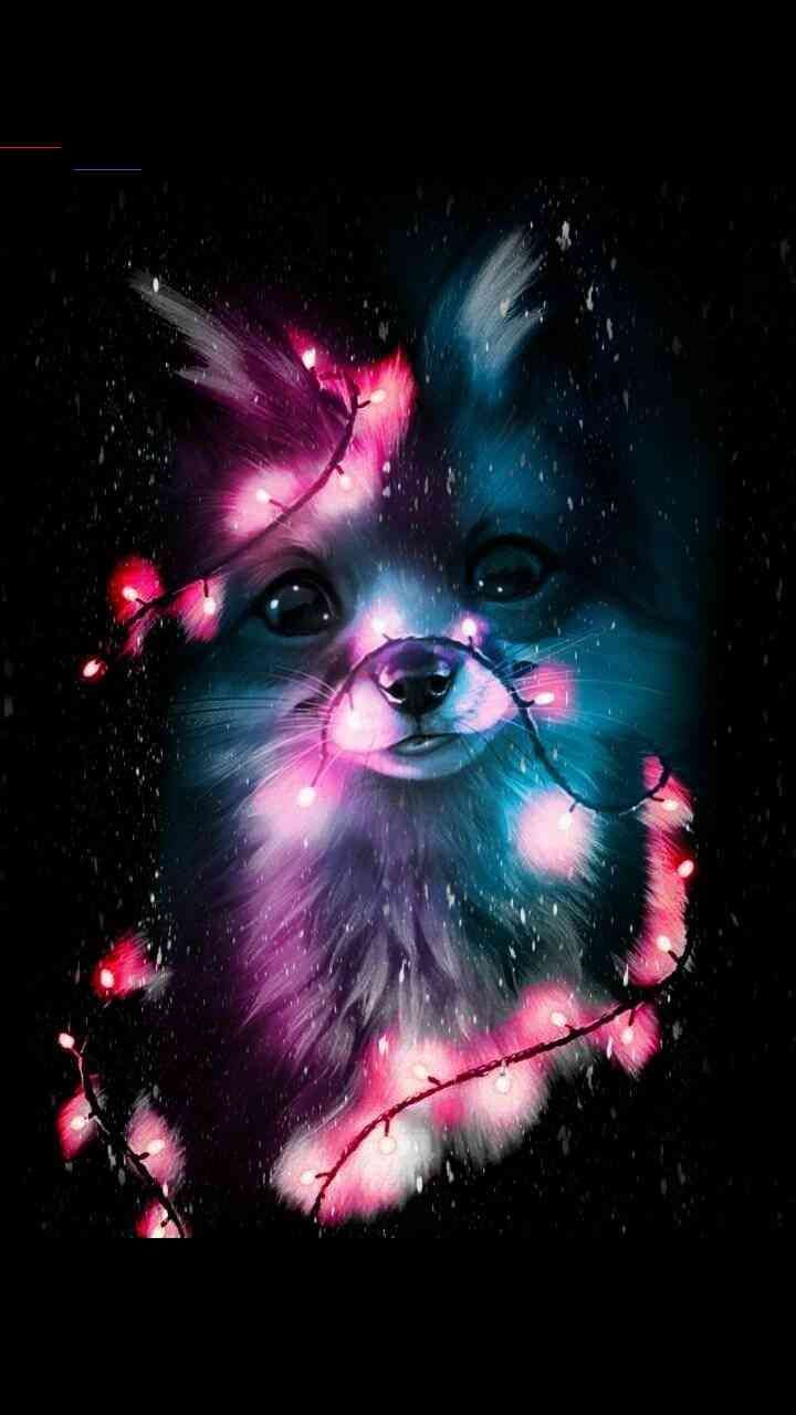 Galaxy Animals Wallpapers Wallpaper Cave