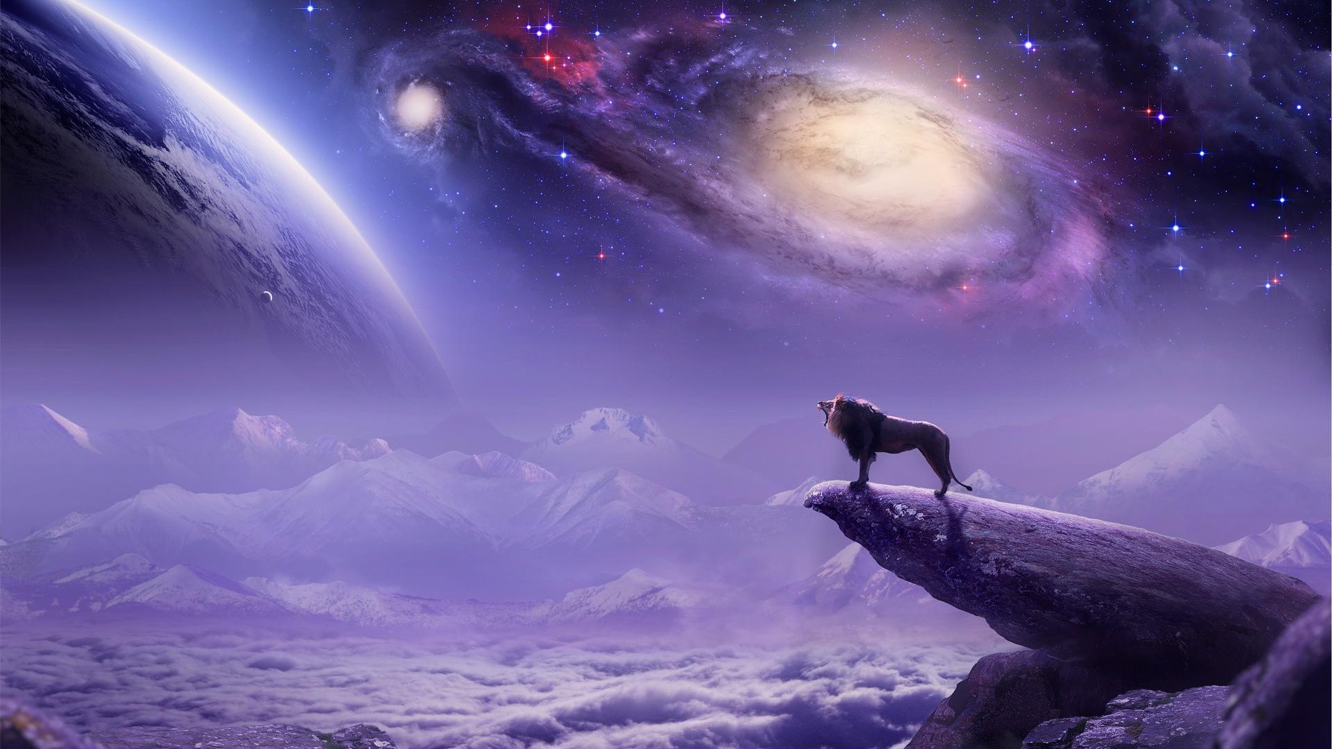 Galaxy Animals Wallpapers Wallpaper Cave