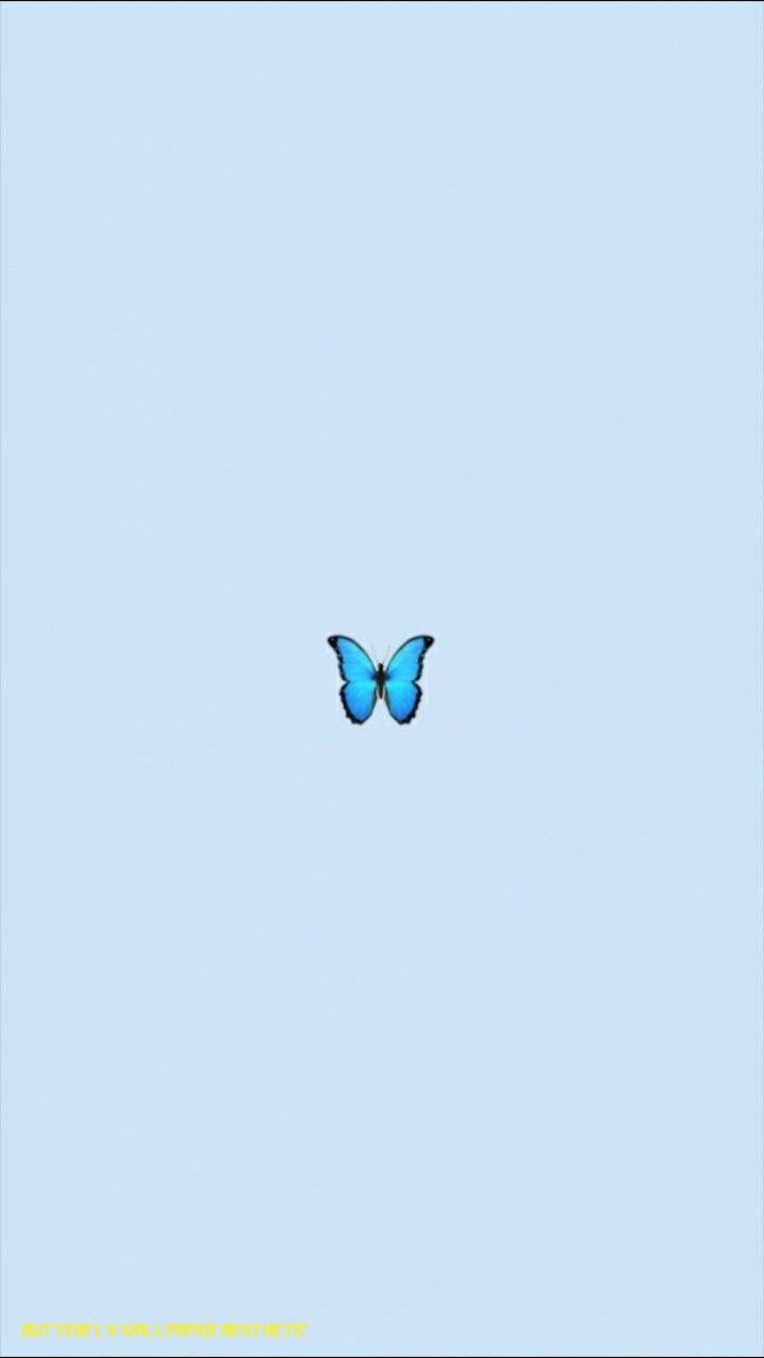 Aesthetic Butterfly iPhone Wallpapers Wallpaper Cave