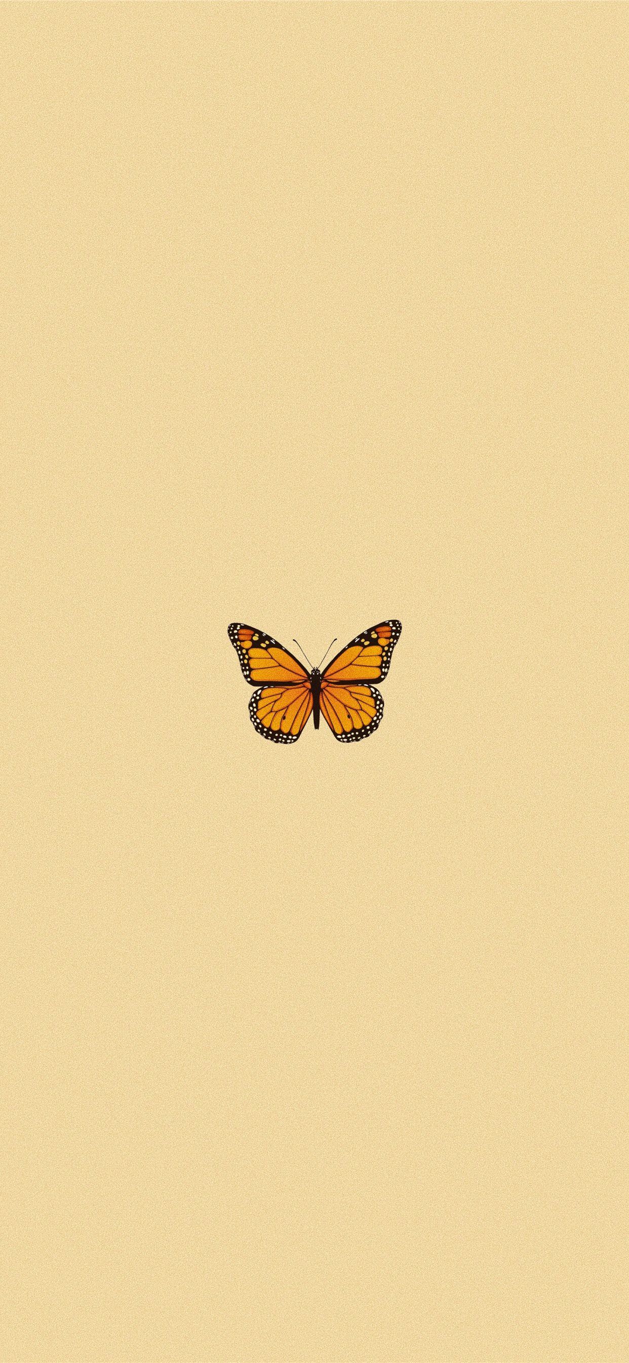 Aesthetic Butterfly iPhone Wallpapers Wallpaper Cave