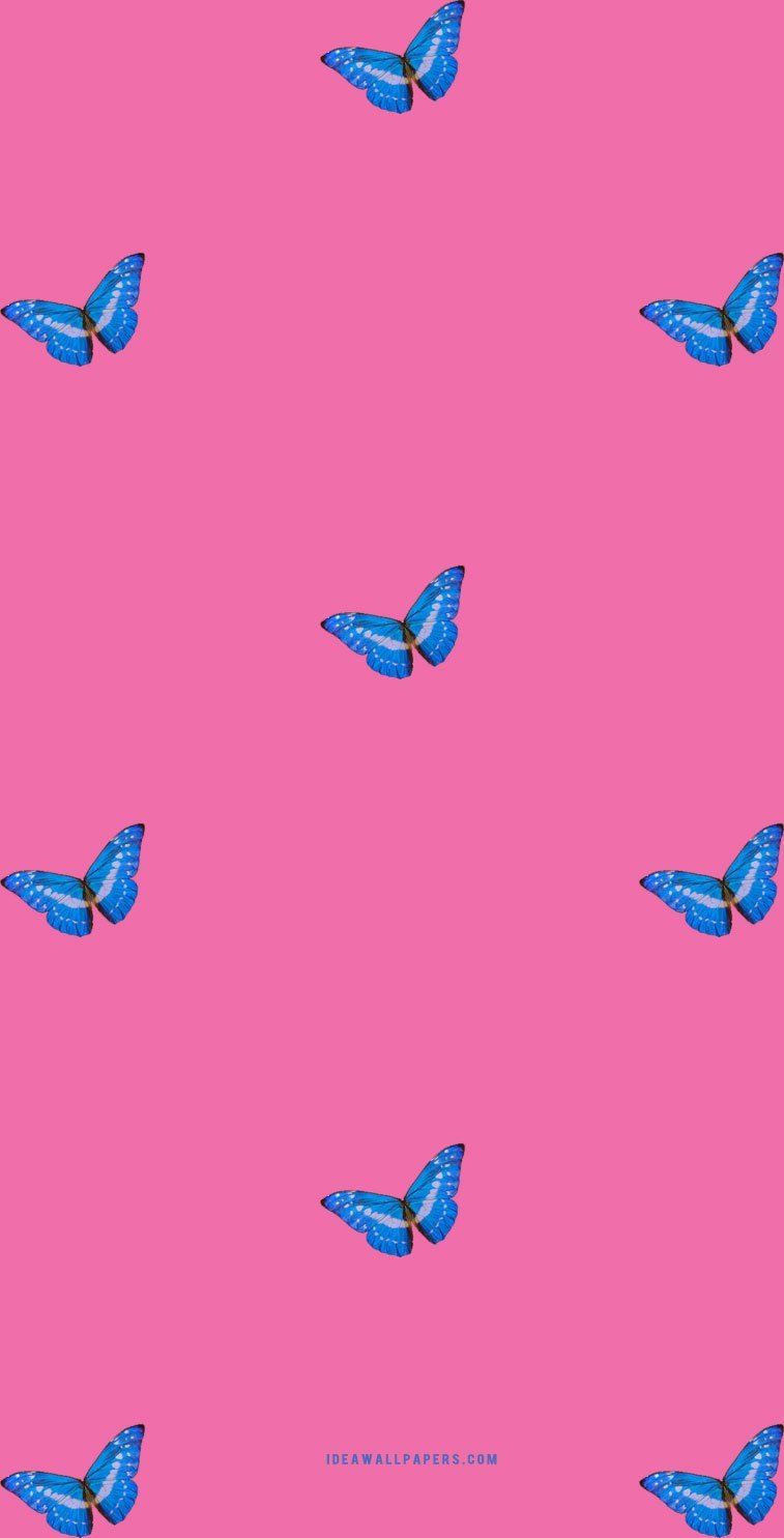 Aesthetic Butterfly iPhone Wallpapers Wallpaper Cave