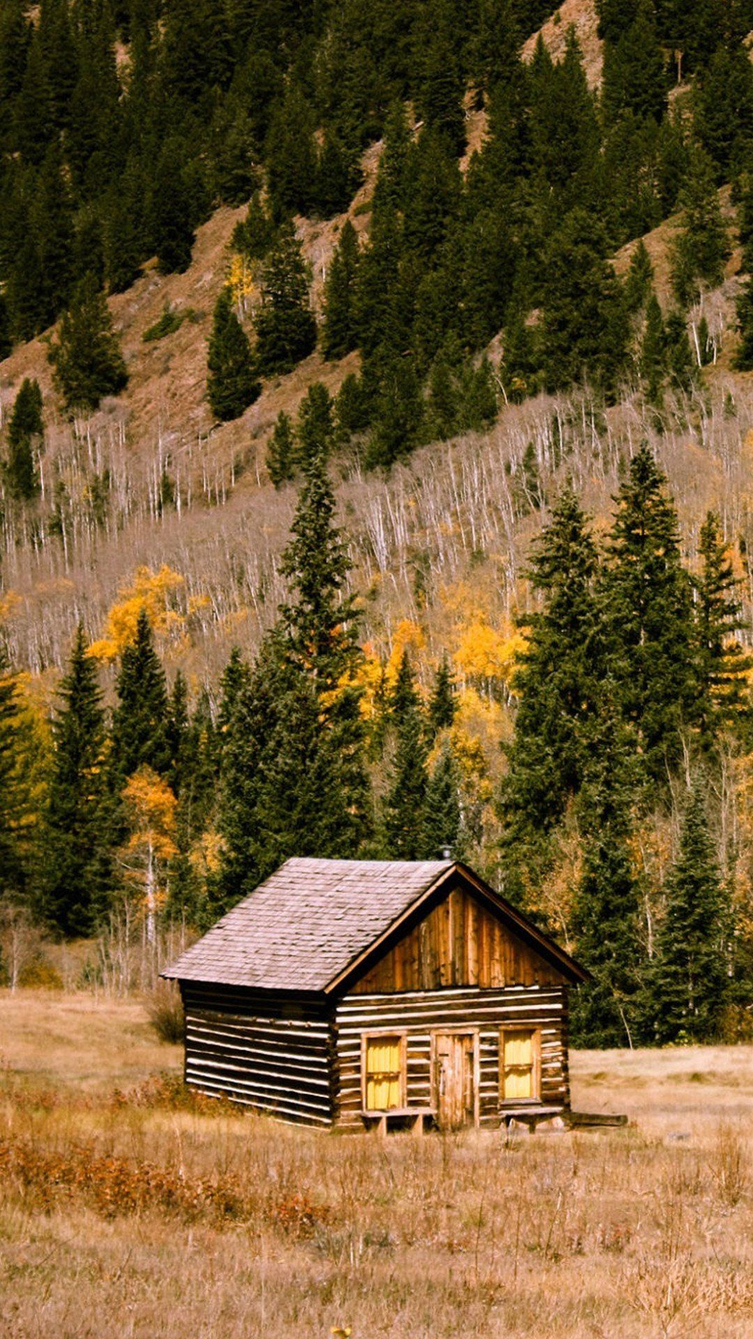 Forest Cabin Wallpapers Wallpaper Cave