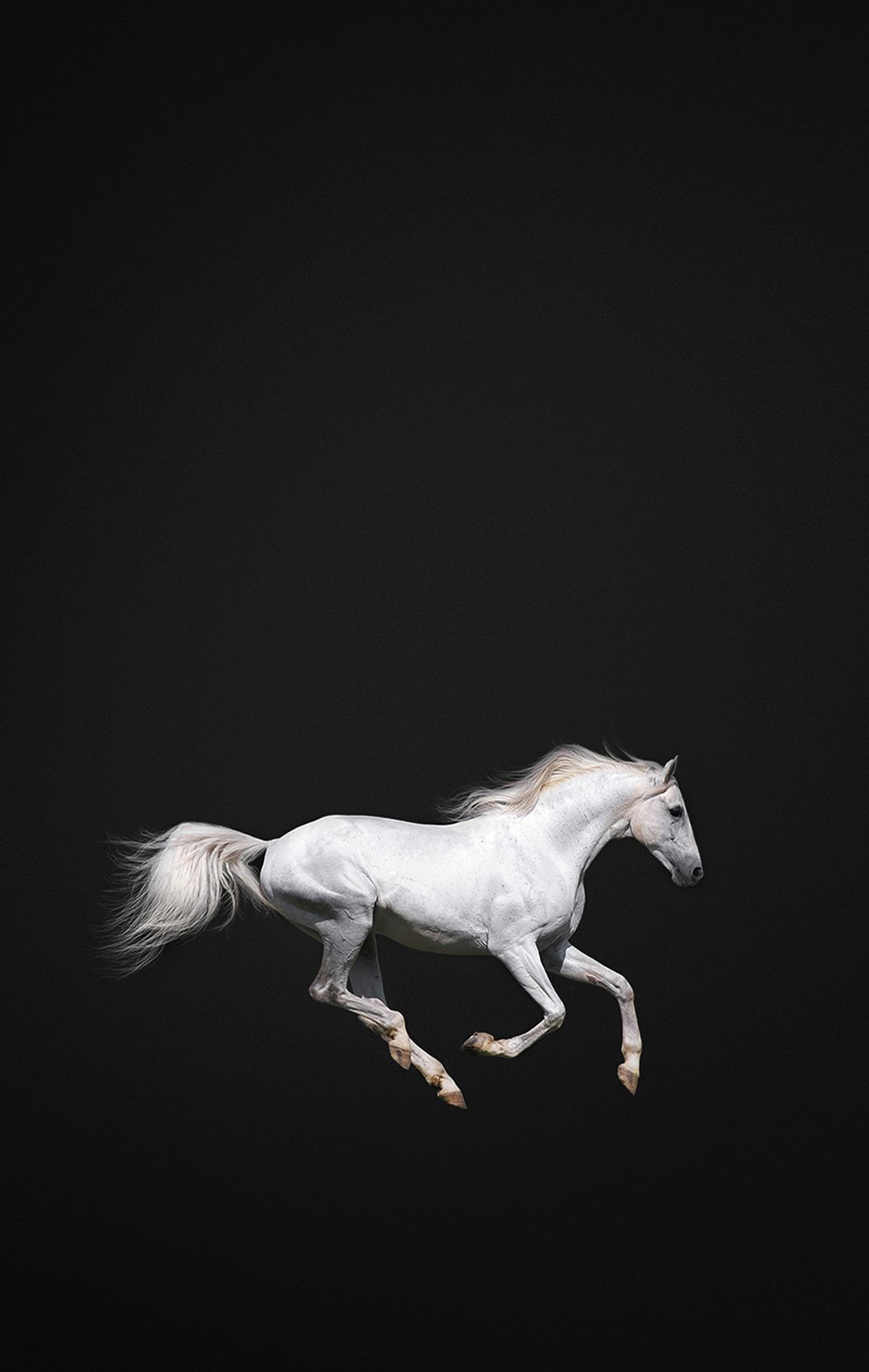Black Horse iPhone Wallpapers Wallpaper Cave