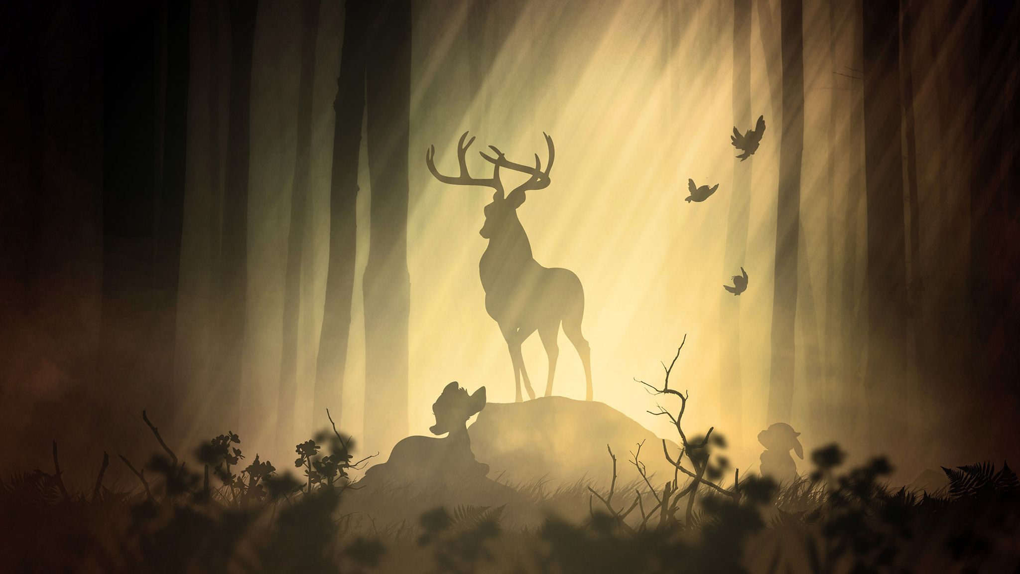 Deer Forest HD Wallpapers Wallpaper Cave