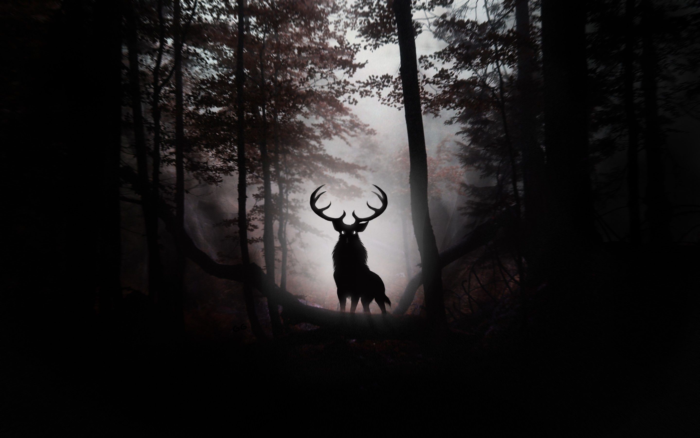 Deer Forest HD Wallpapers Wallpaper Cave