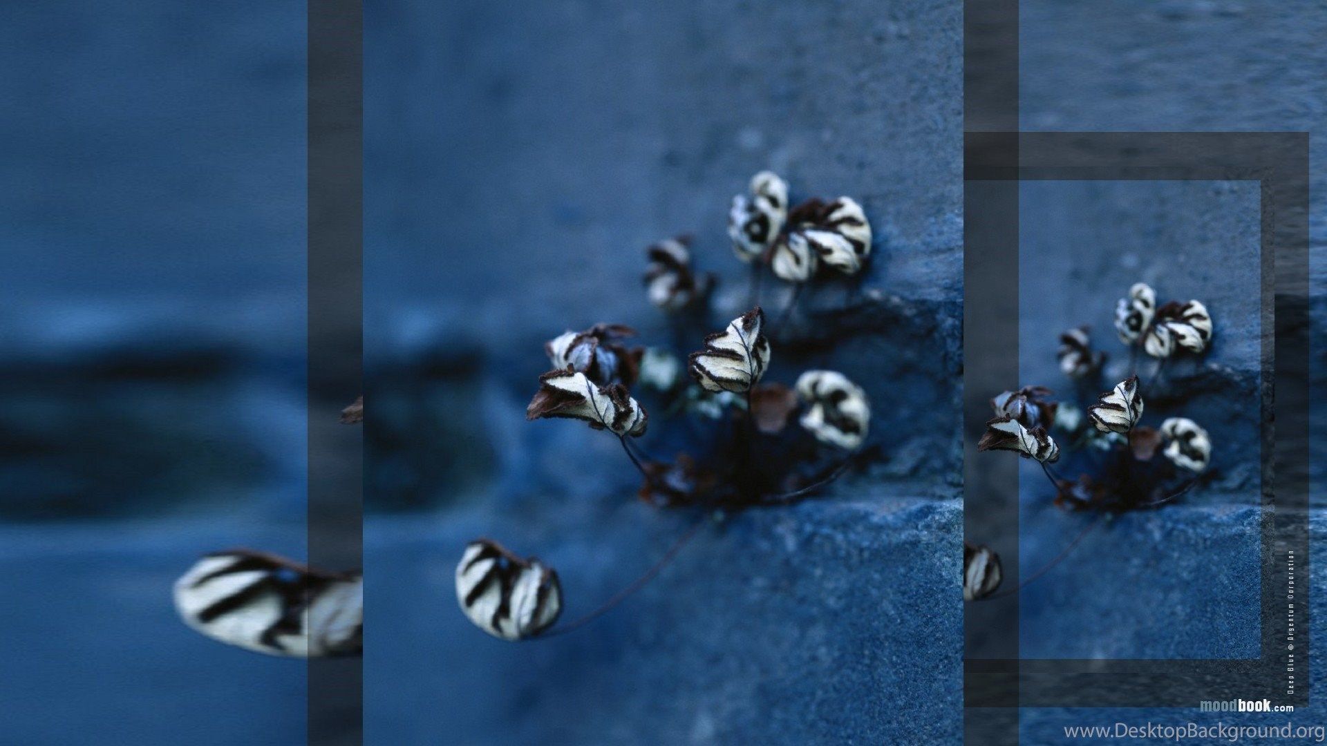 Deep Meaning Wallpapers Wallpaper Cave